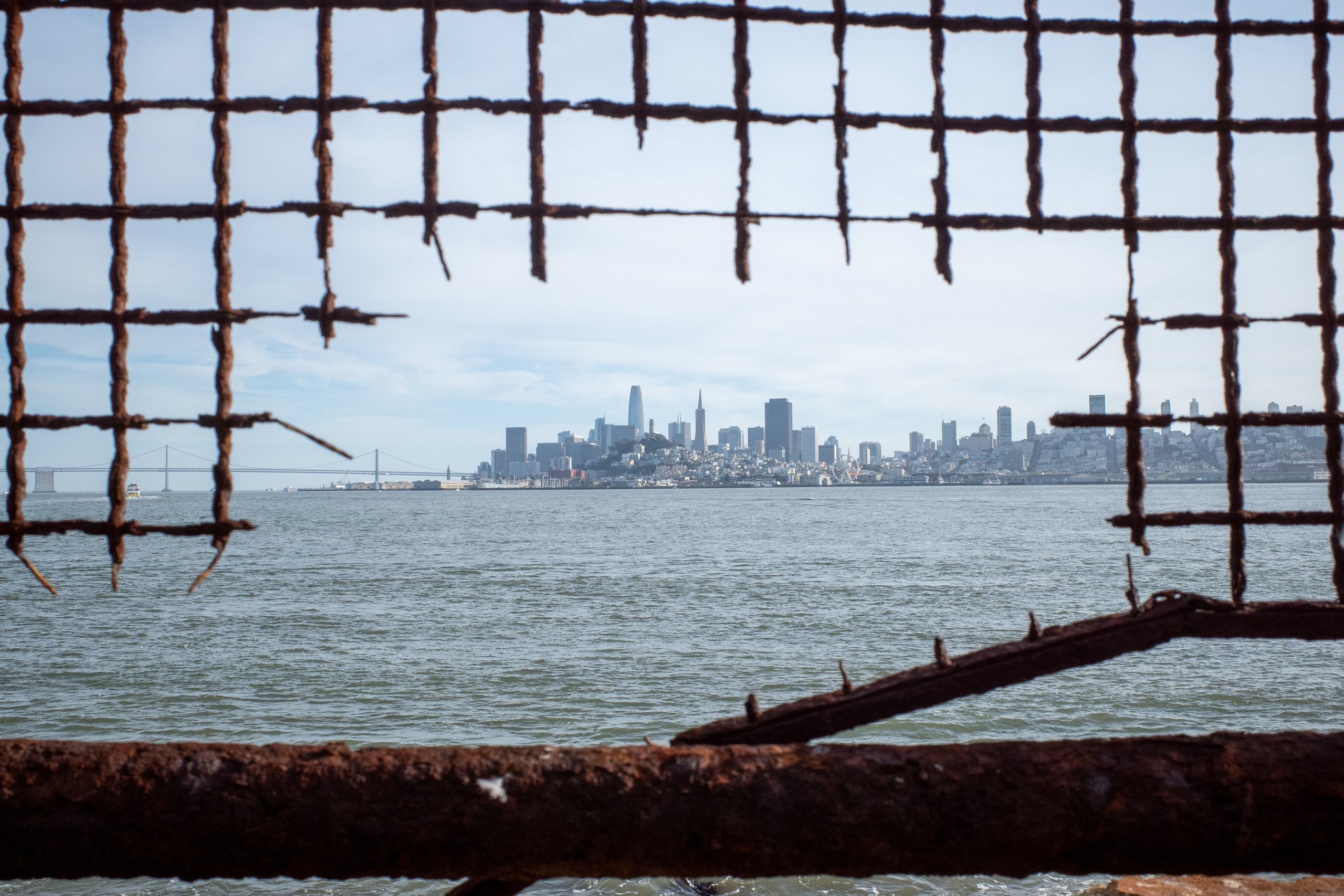 San Francisco. Aleks.photo | Book a photoshoot