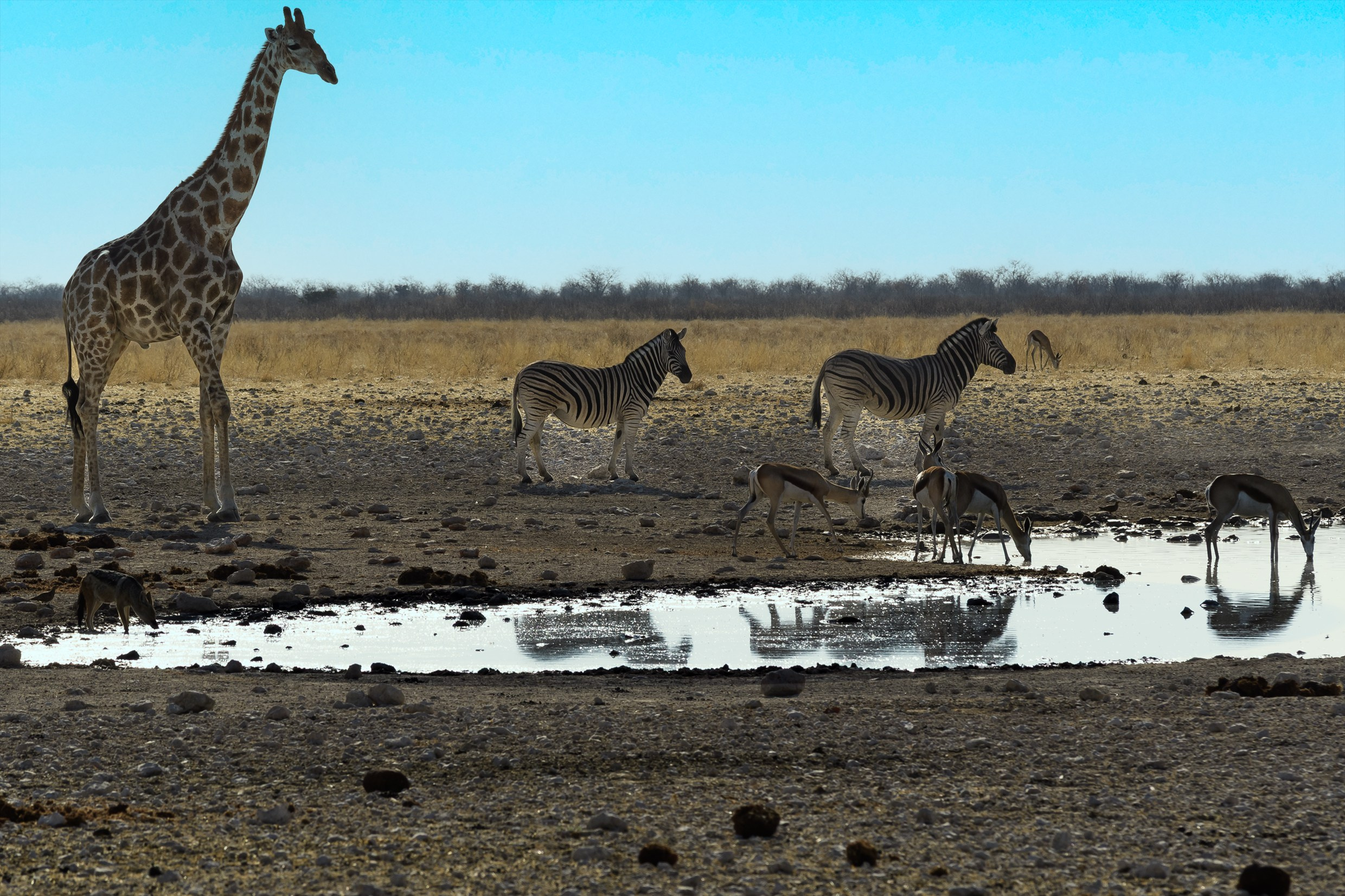 Travel. Klausenburg Photography