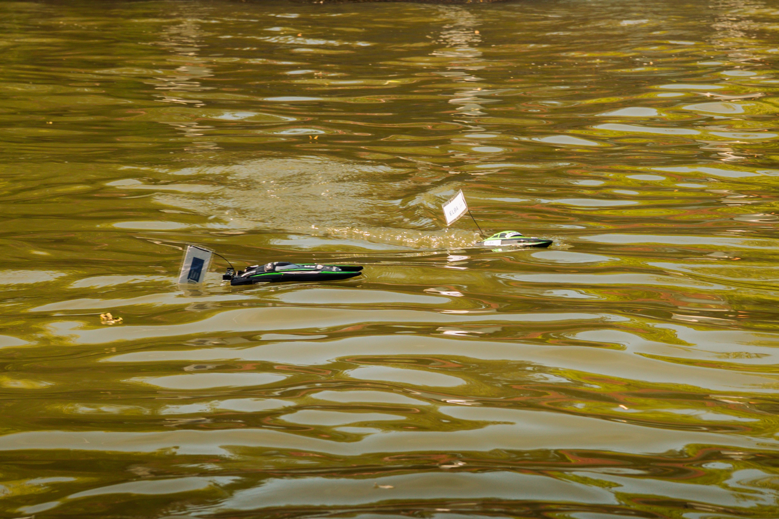 06.04 Bega Boat Race. Cozac Cristian Photographer