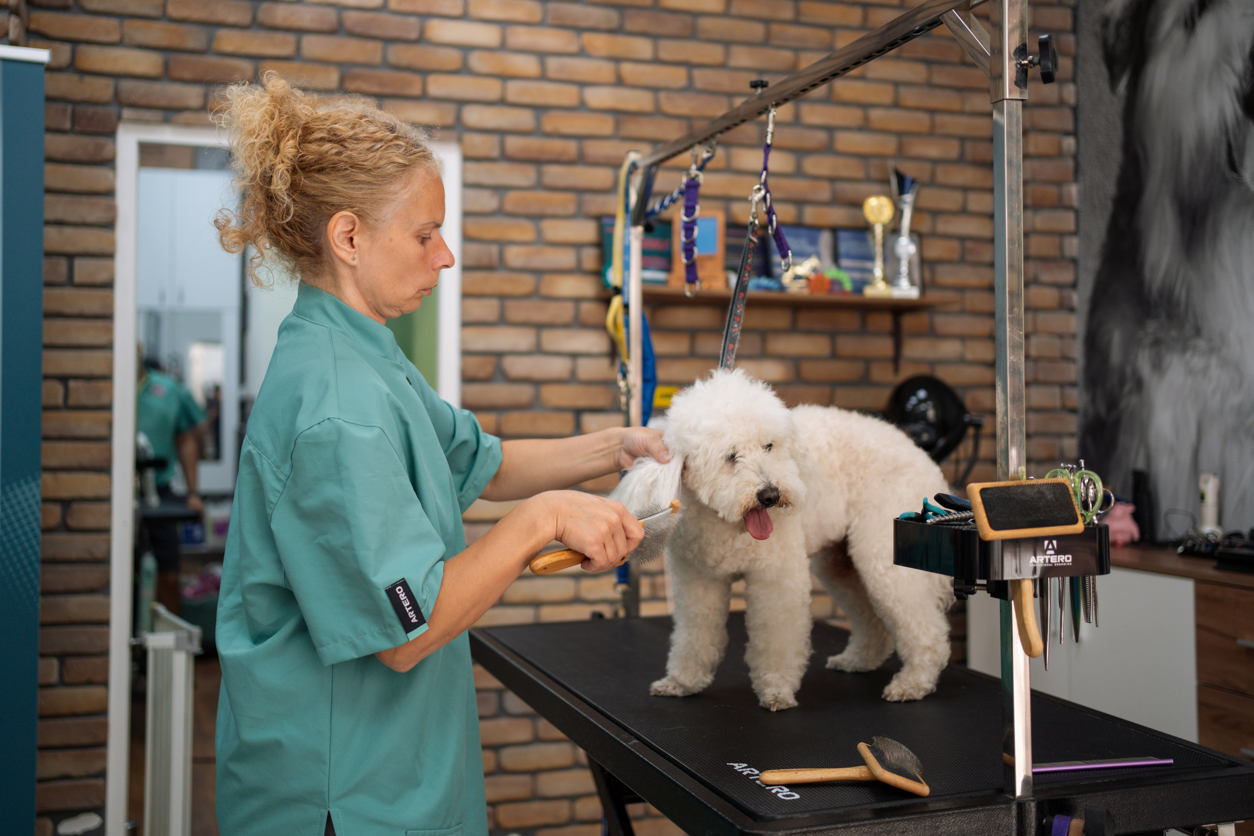 PetGroom Timisoara. Cozac Cristian Photographer