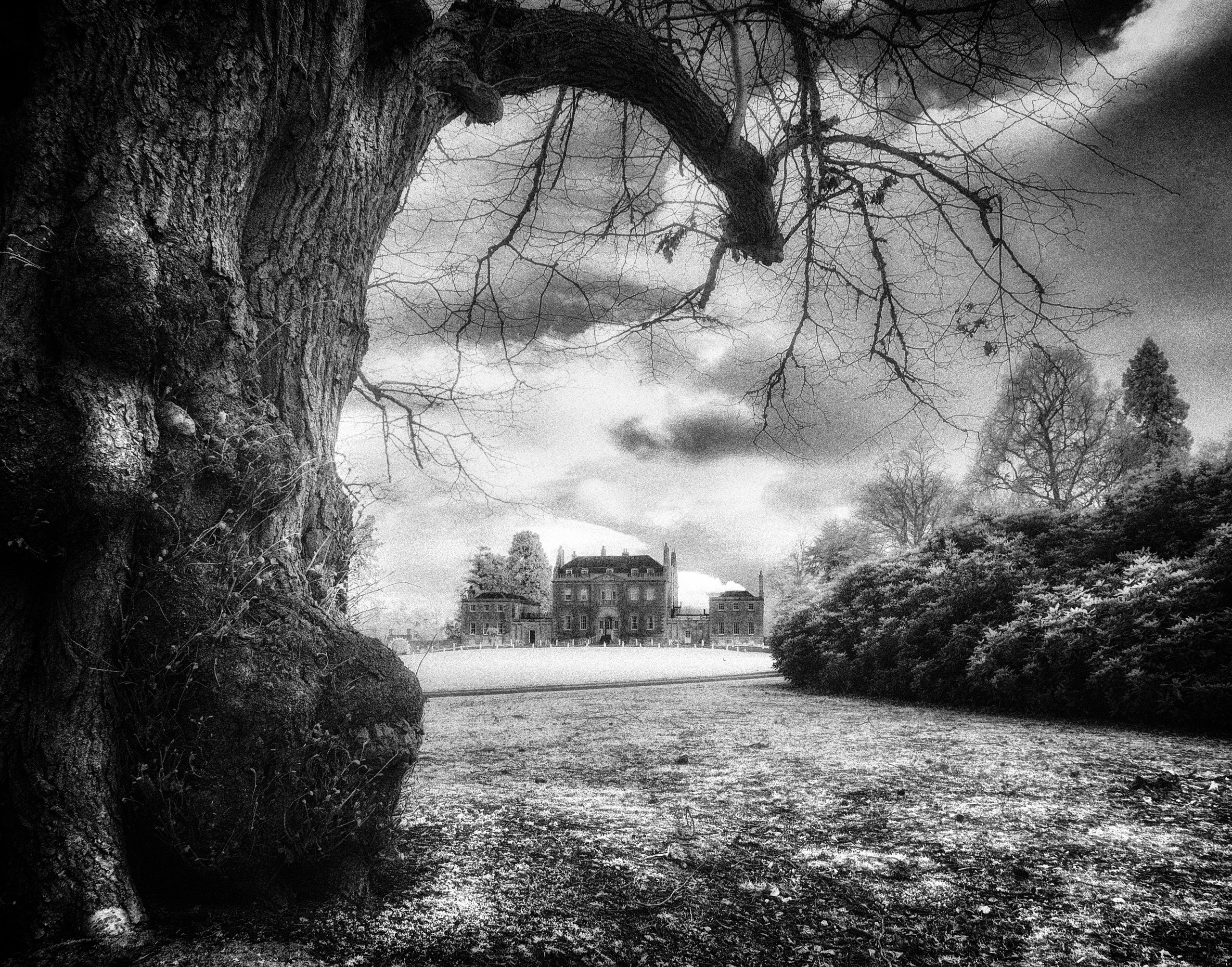 The Land. Infrared Scotland
