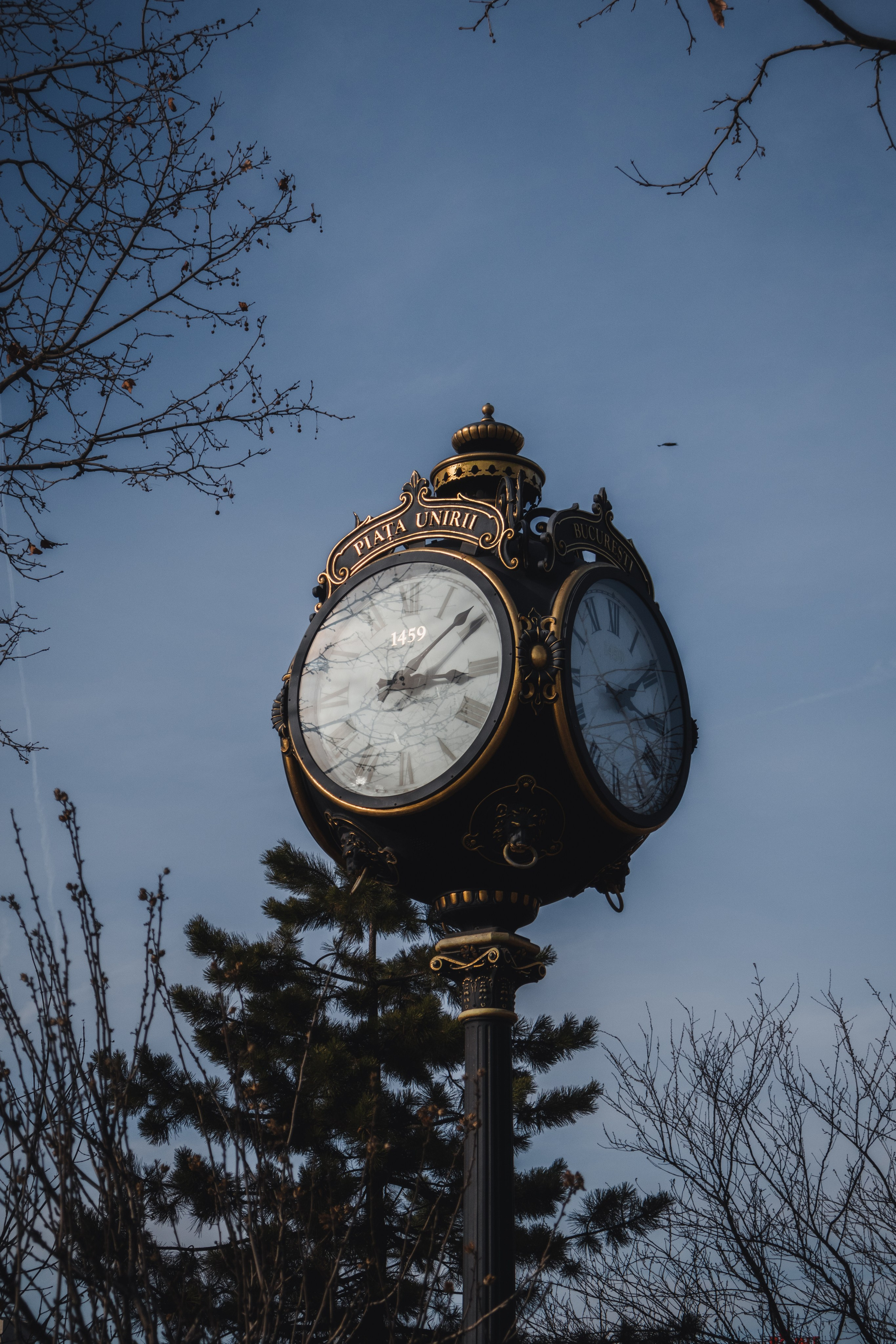 Bucharest. Дизайнер и Фотограф в Кишинёве Бусуйок Станислав