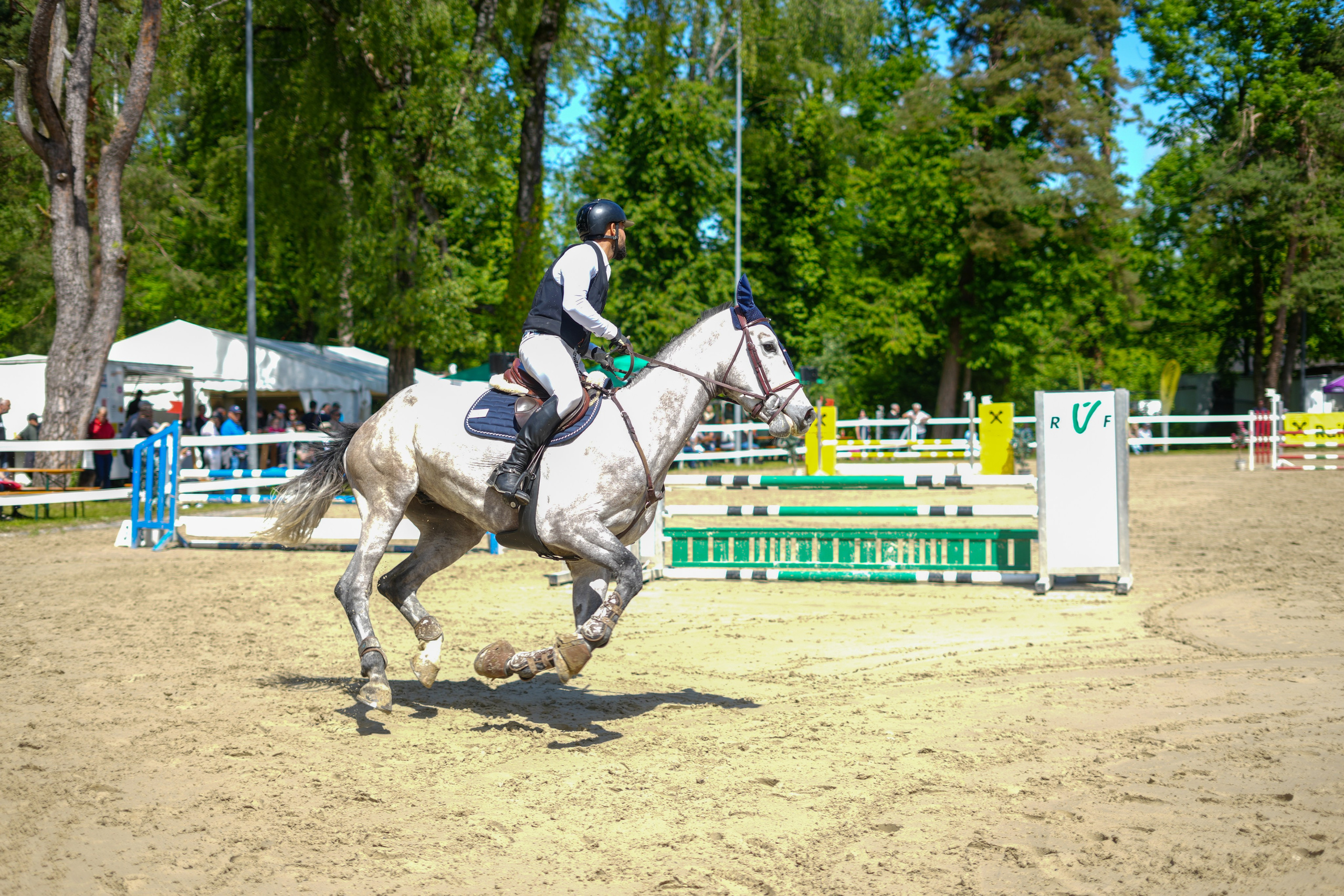 Equestrian Competition