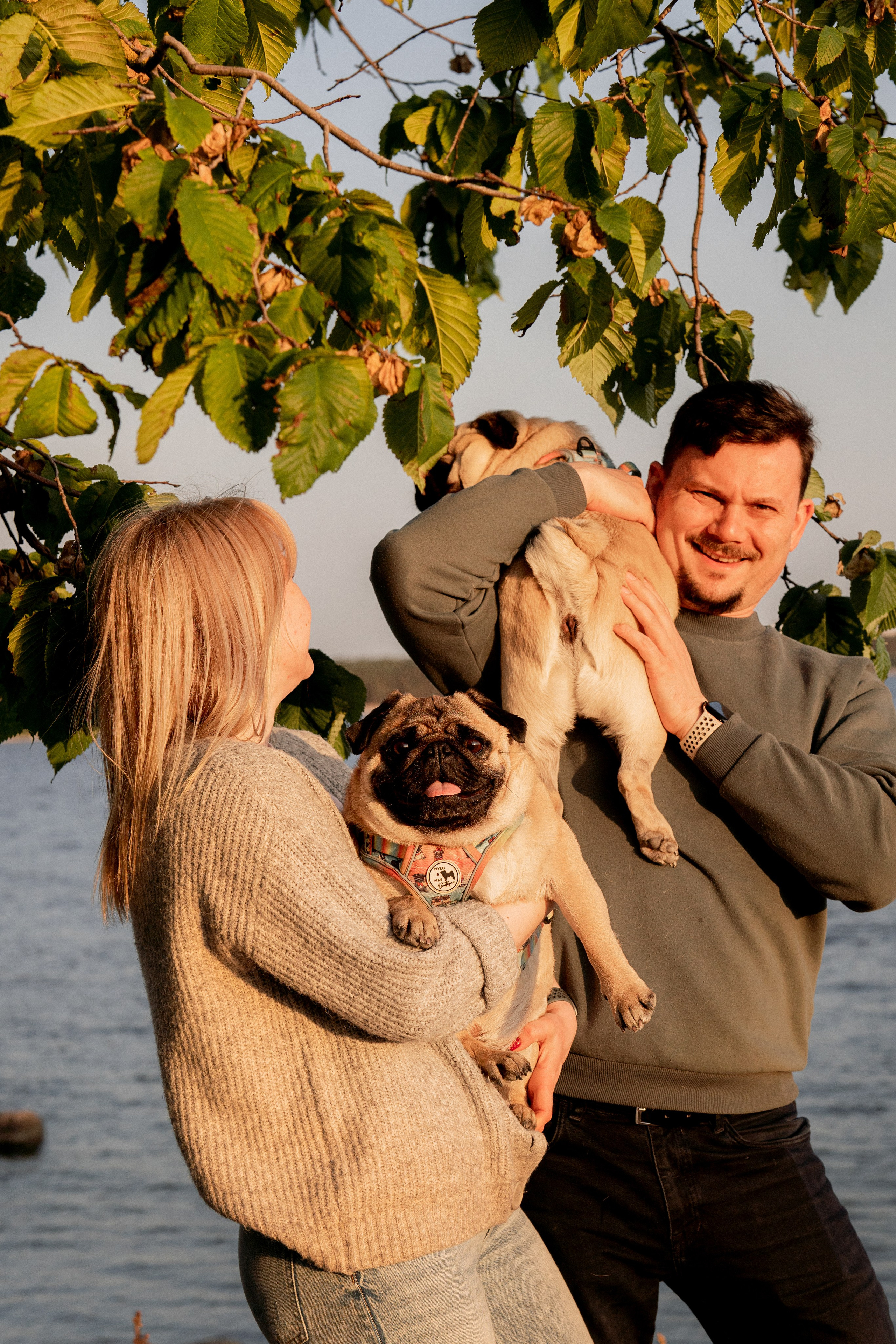 Frank, Tony, Katerina & Lev. Kat Laisaar — Pet photographer in Tallinn