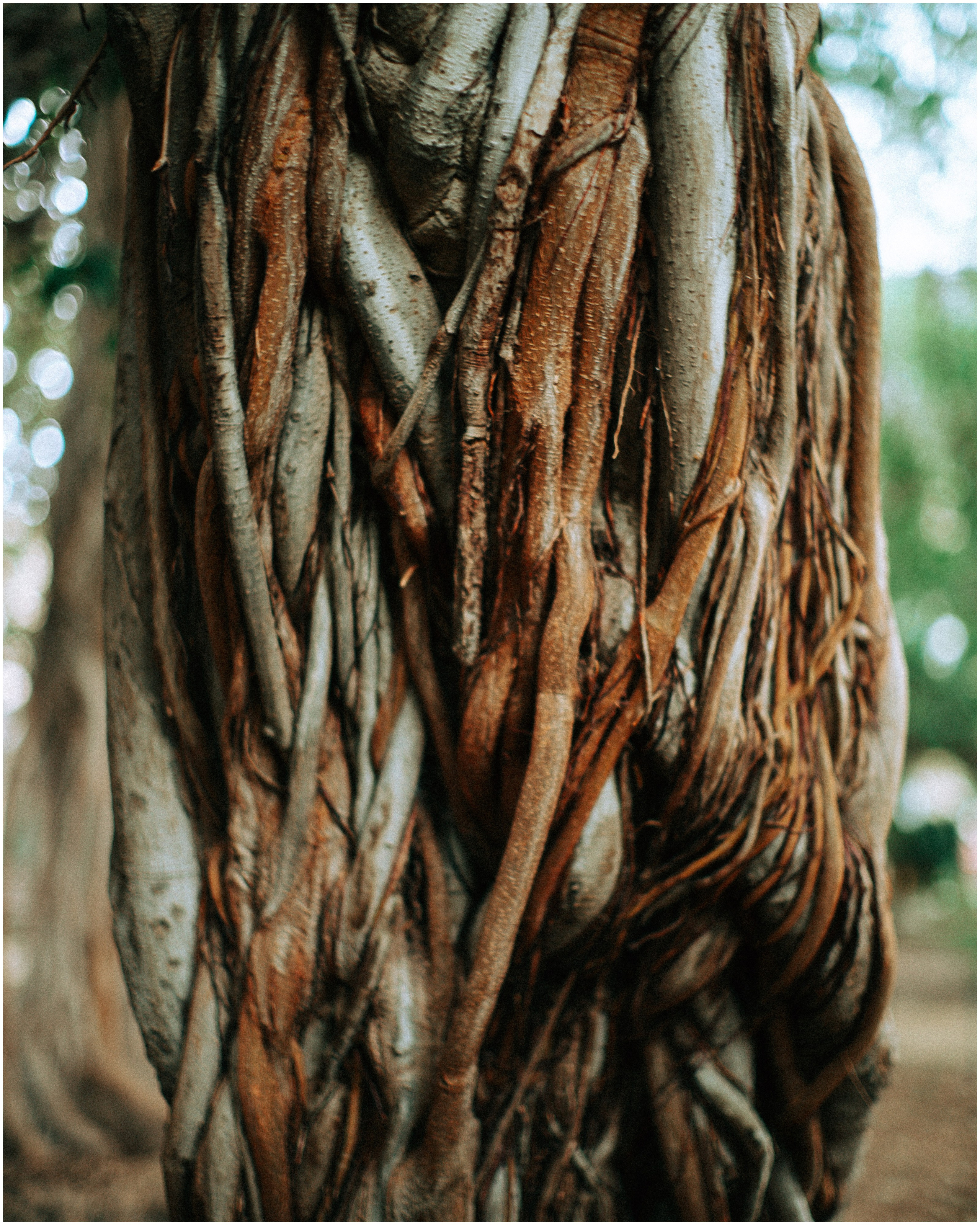 PALERMO. Photographer Inna Mendelson