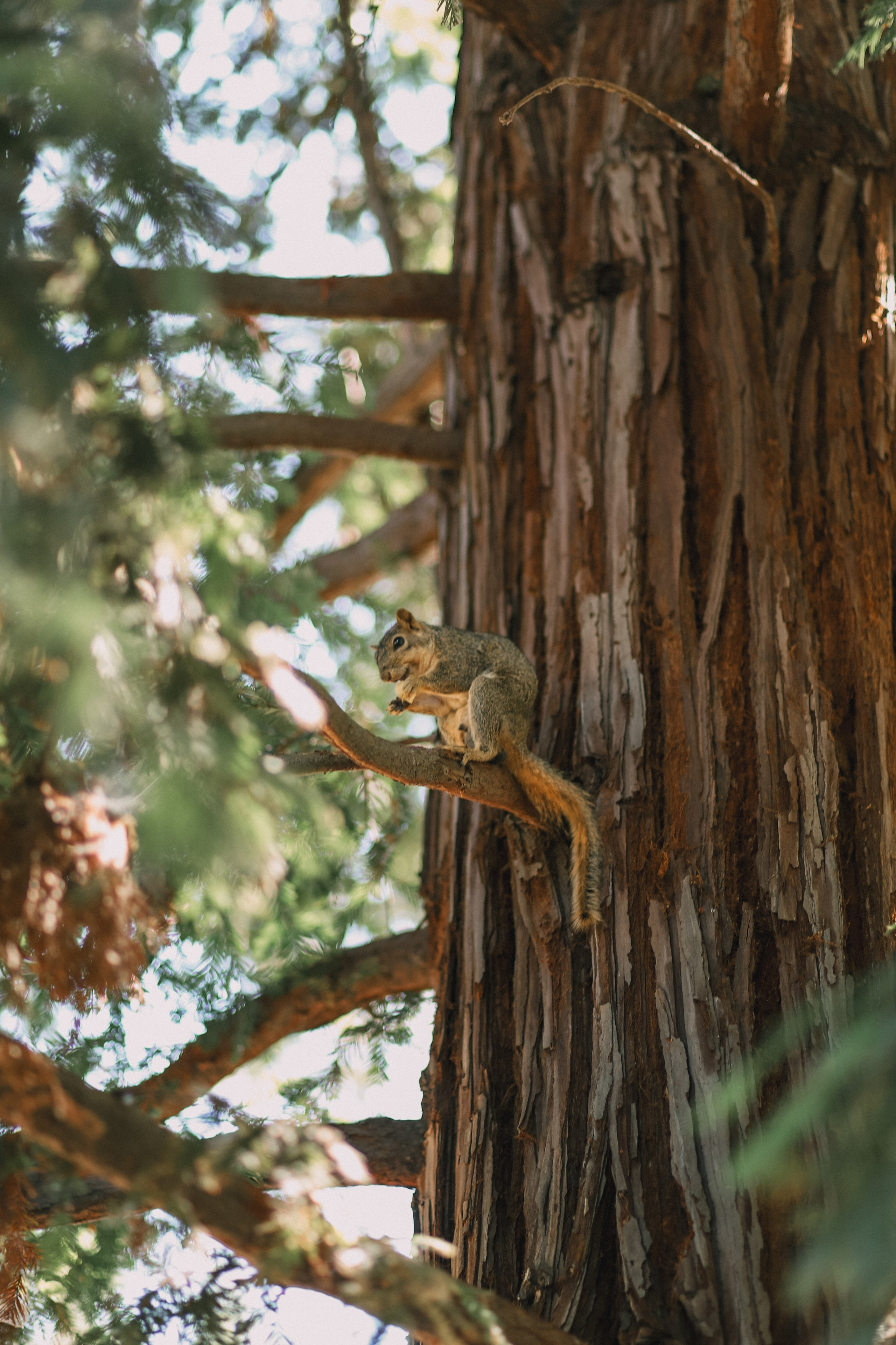 O + N + L + K + K + S. Photographer Inna Kalmykova