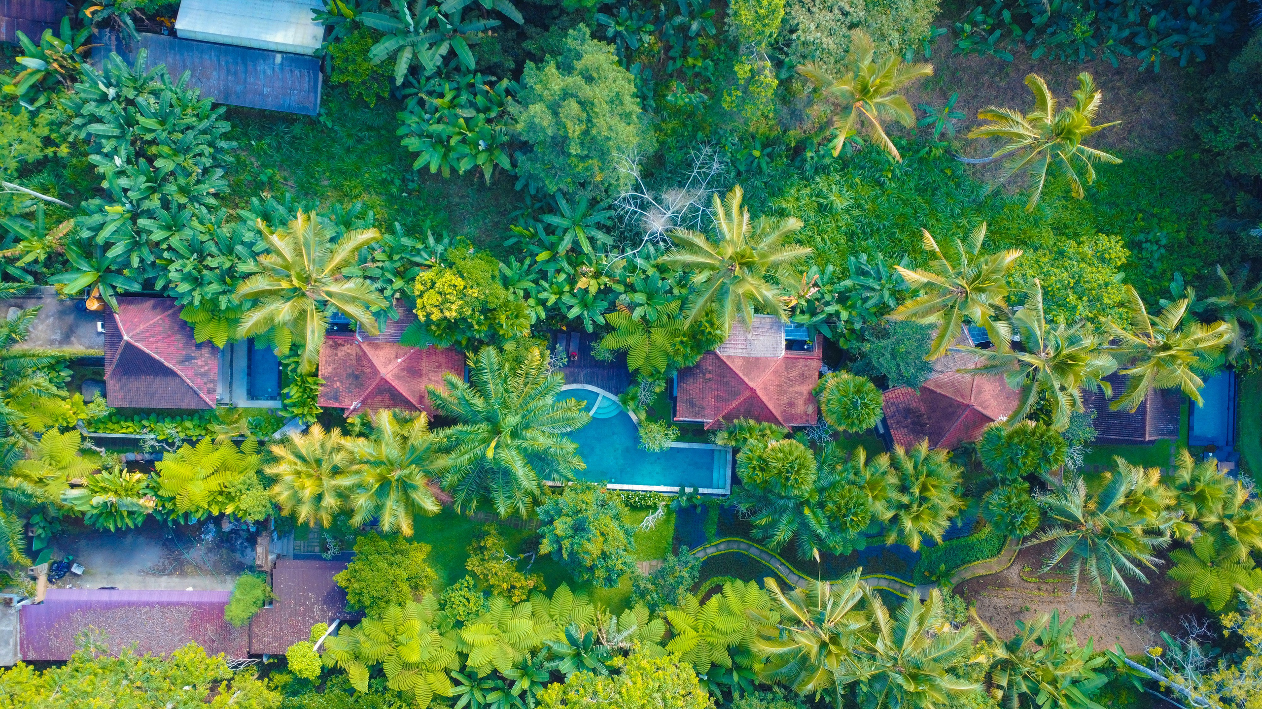 WallMuse. MHCreative is family-oriented photographer based in SYDNEY