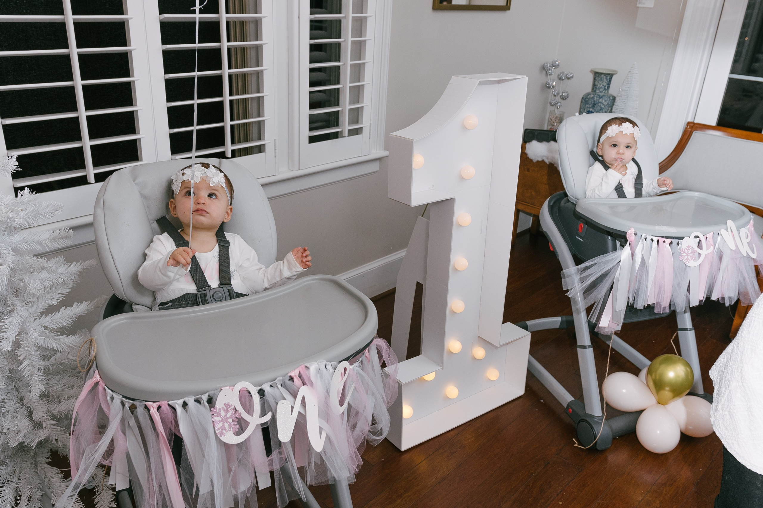 Twins Birthday. Sara Eulalia | Virginia Photographer