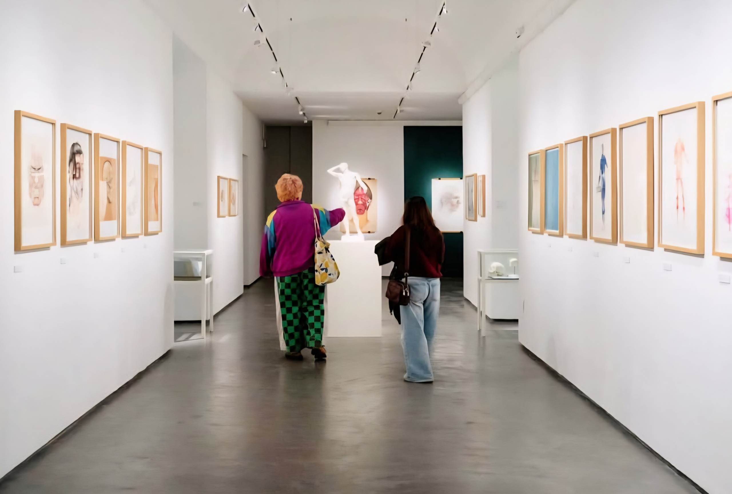 Um Olhar para Além da Morfologia. Barbara Cabral