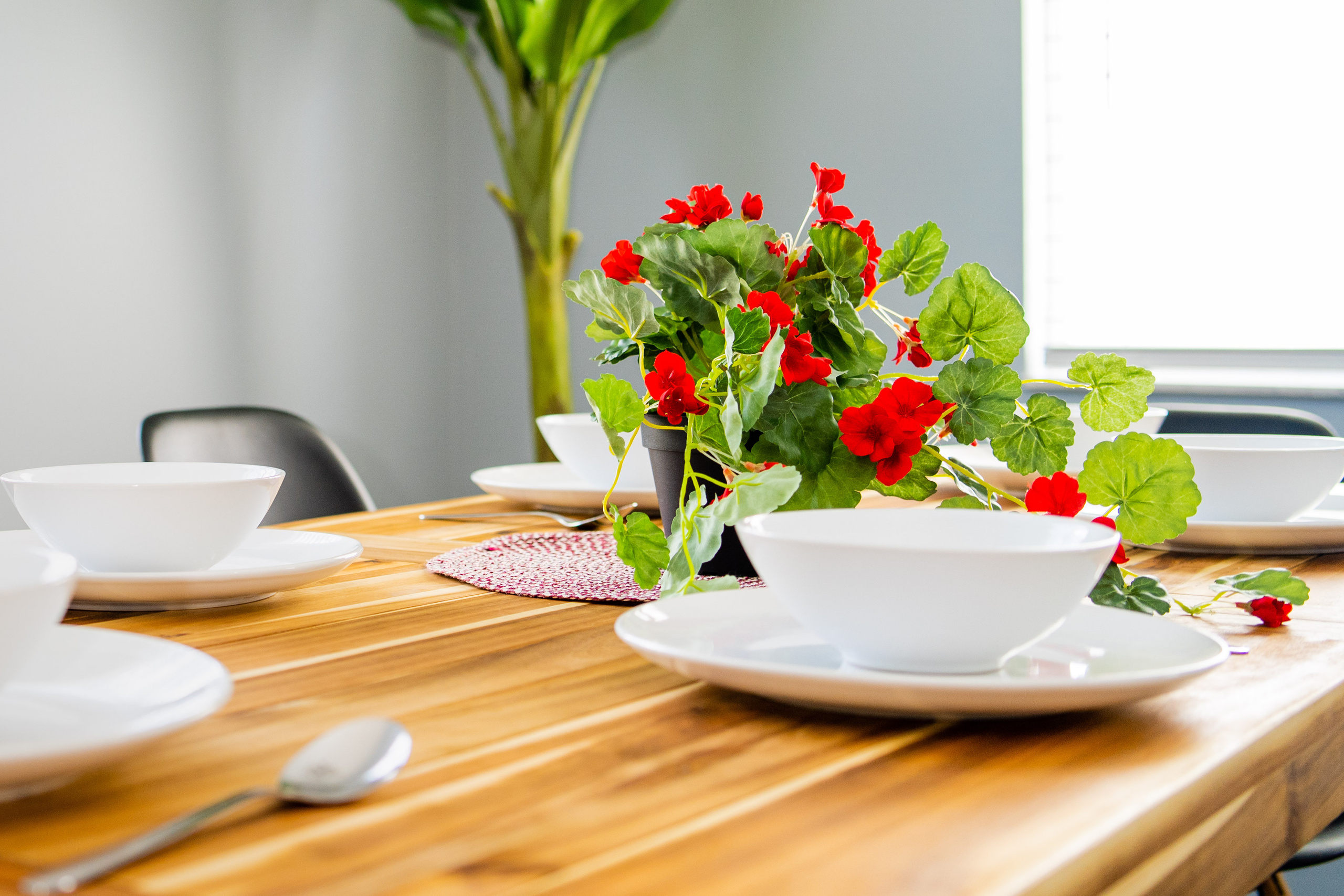 Gallery. Masha Kapriyanchuk a real estate photographer