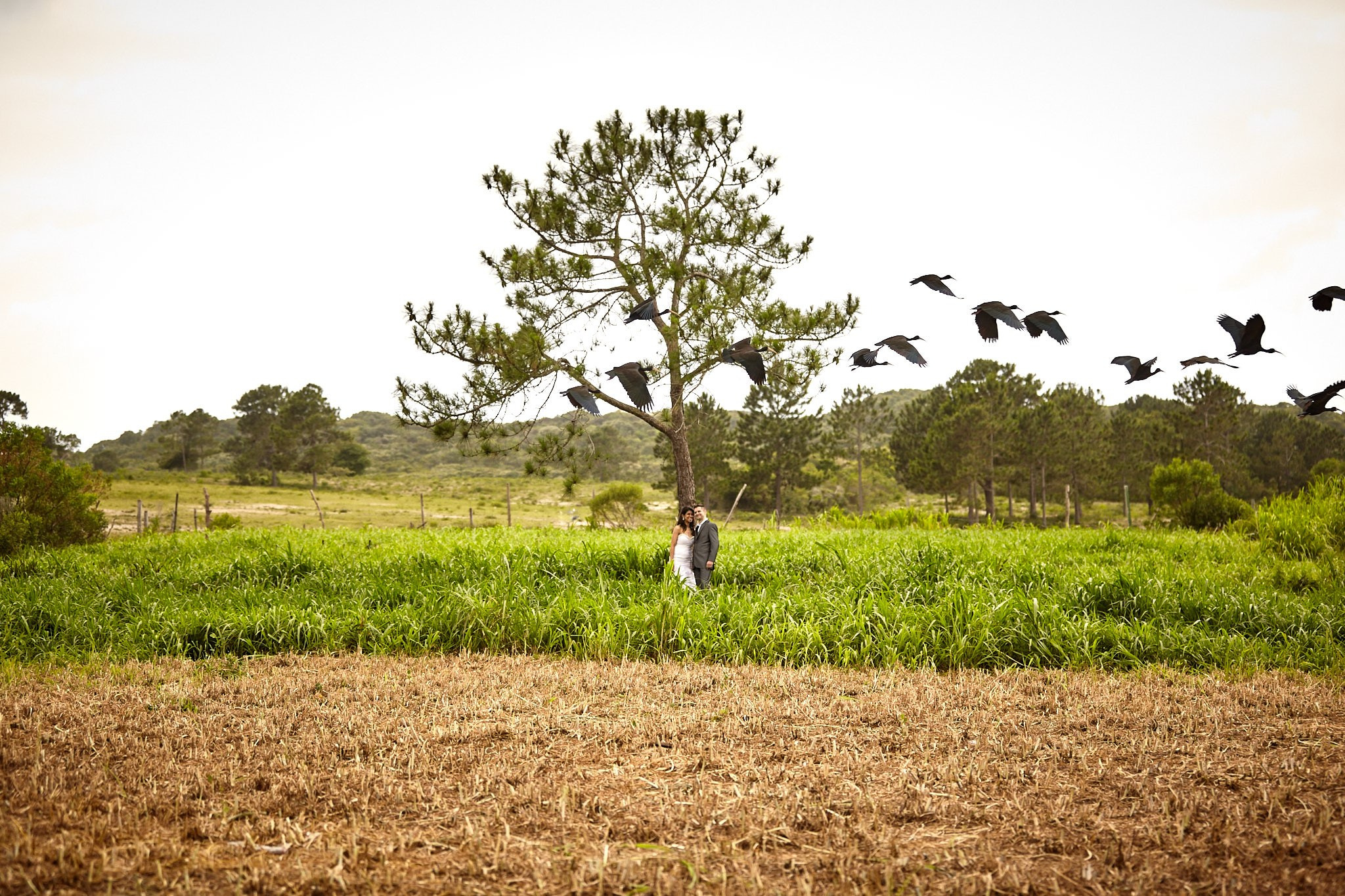 Trash The Dress Cynthia e Deocelso. Fotógrafo de casamentos em Florianópolis
