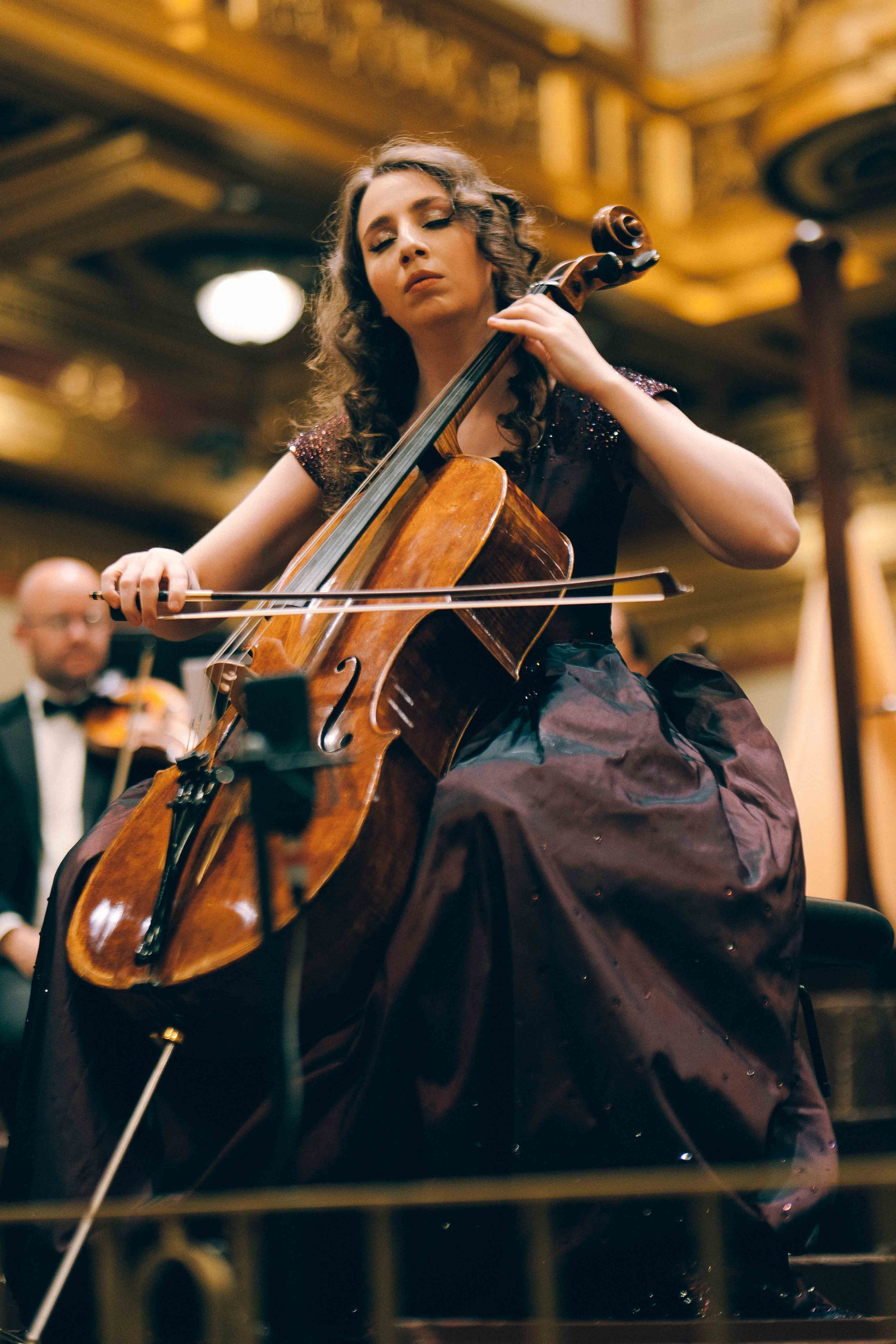 MUSIKVEREIN (VIENNA). Wedding&Event photographer Ismail Rzayev in Baku