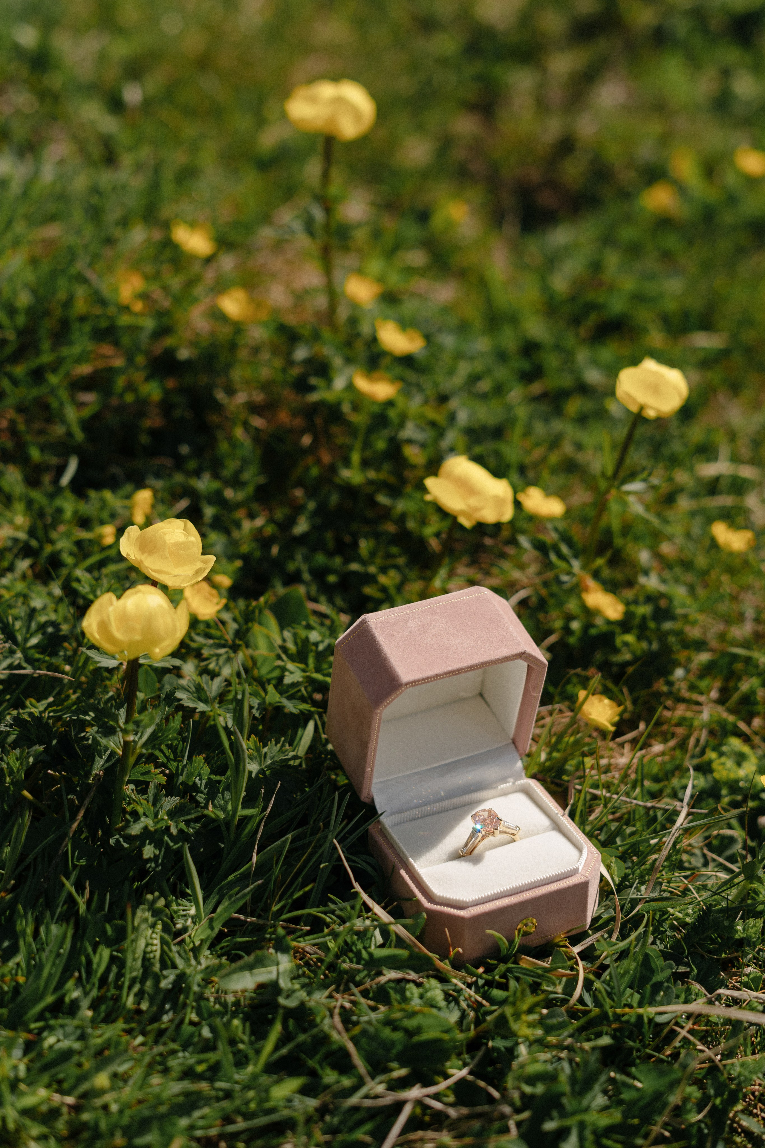 M & J (Seceda, Dolomites, Italy). Marriage Proposal Photographer in Verona, Lake Garda and Dolomites| Diana Fedrigo