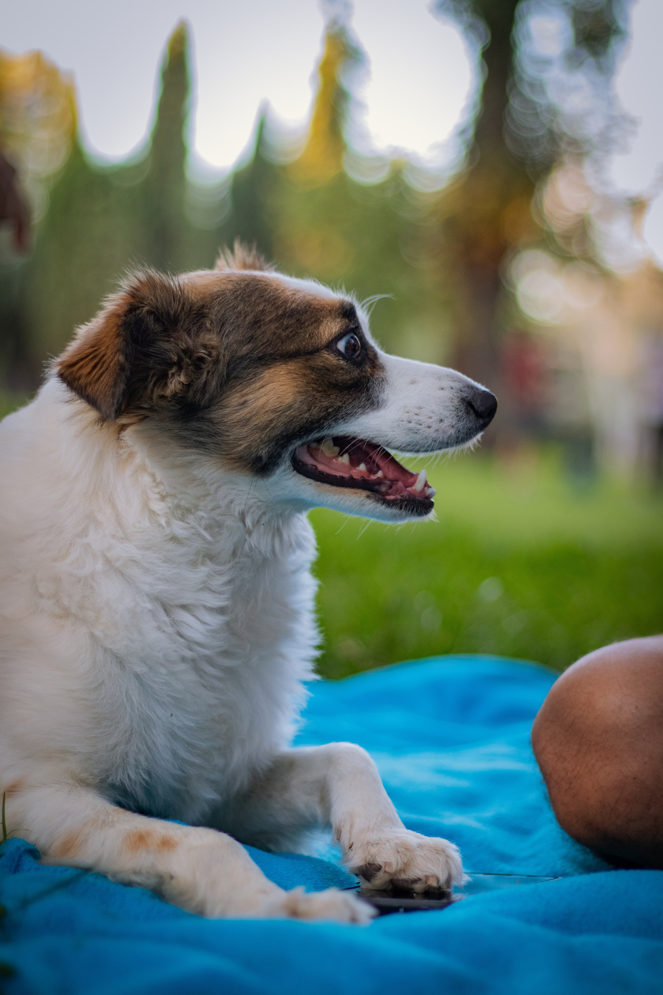Julian y Larita. Fotógrafo en Mendoza Alexander Safonov