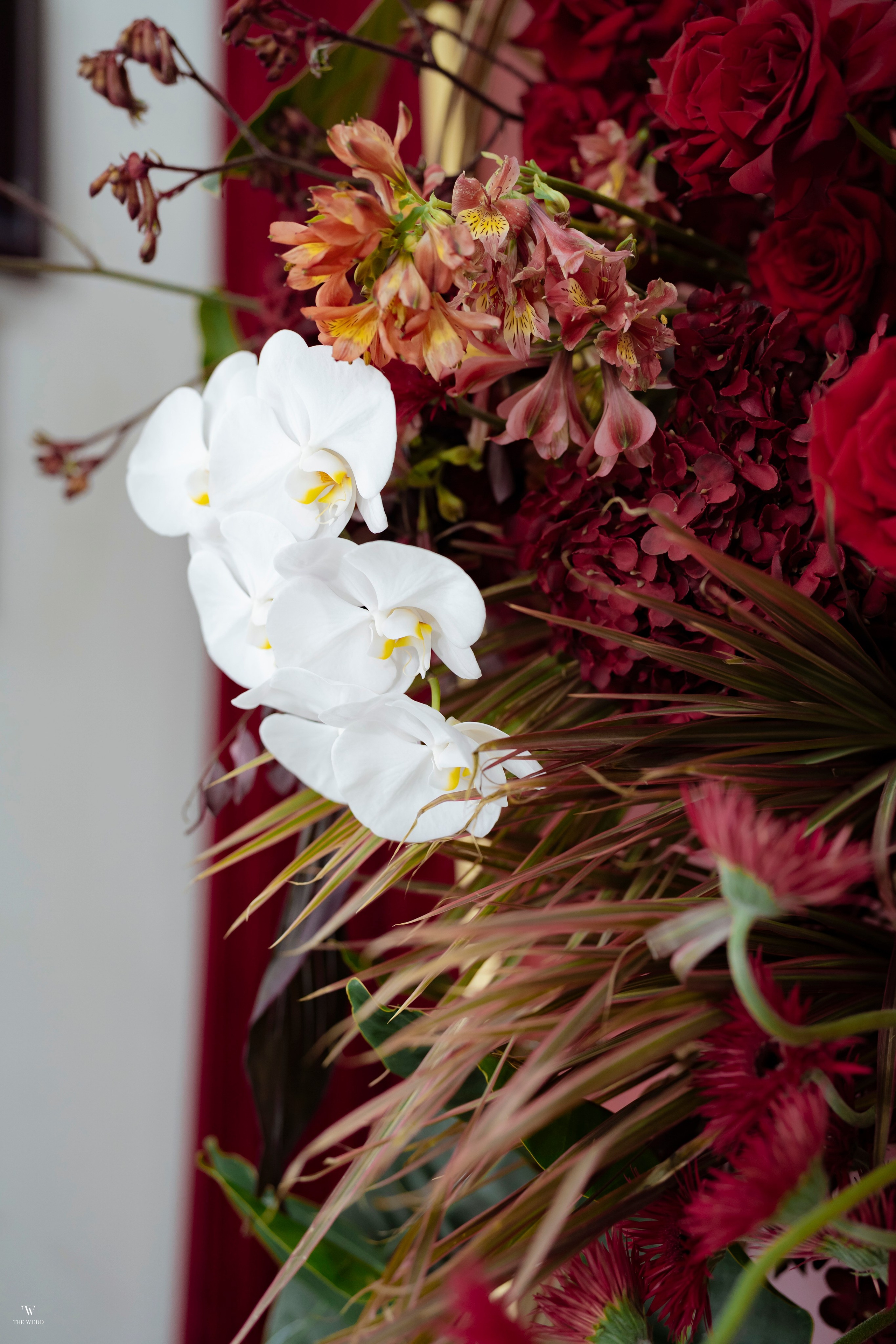 NAM & PHƯỢNG. WEDDING PHOTOGRAPHER IN VIETNAM