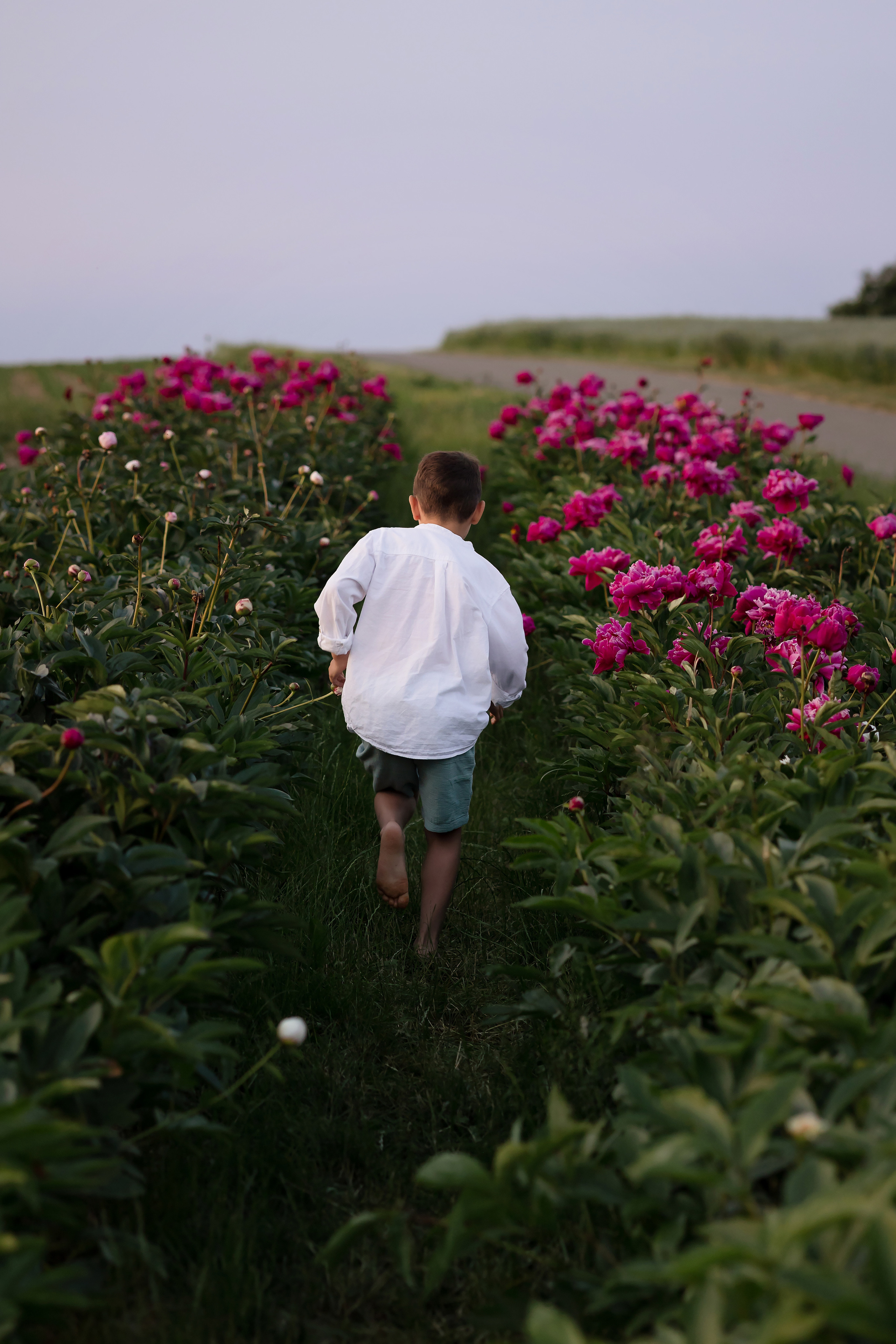 Kinder. Kinder- und Familienfotografin