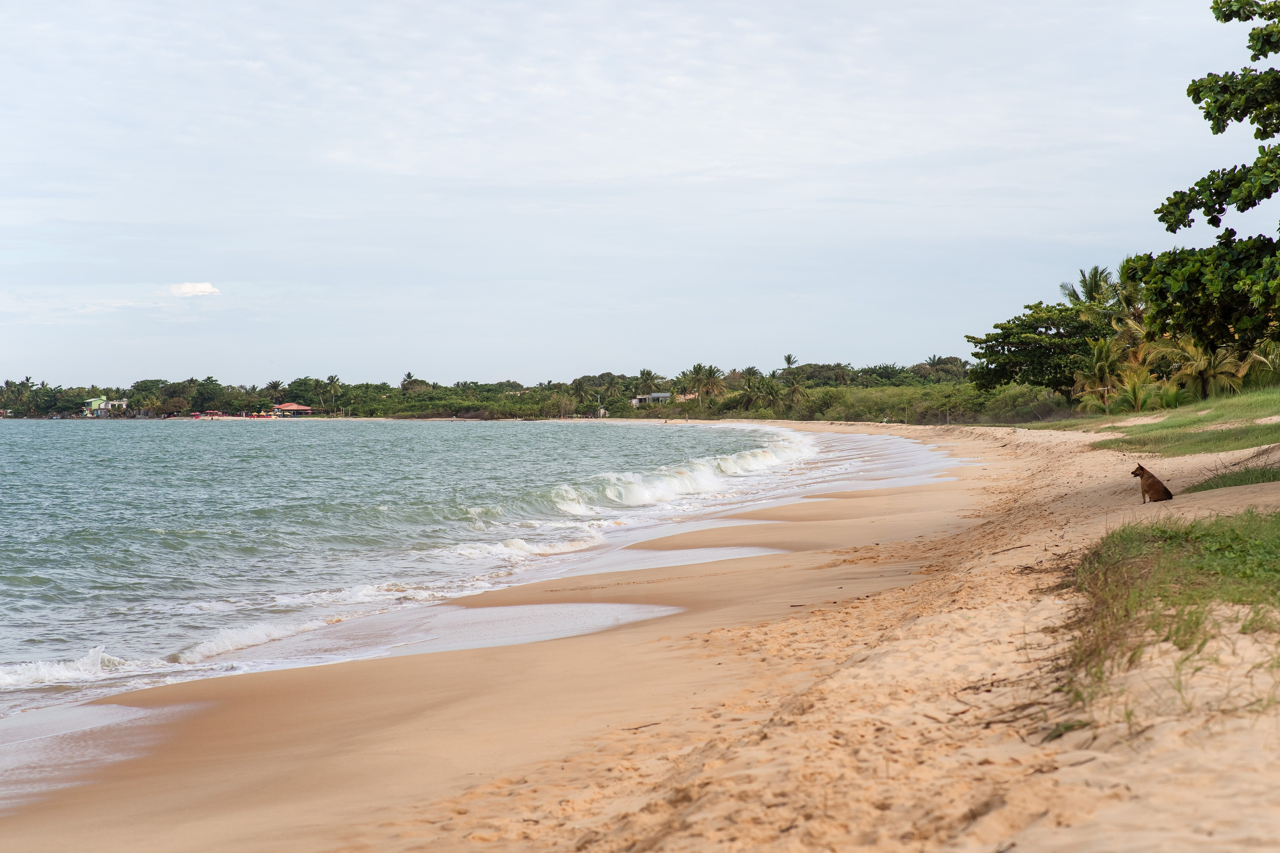 Casamento - Elô & Gui