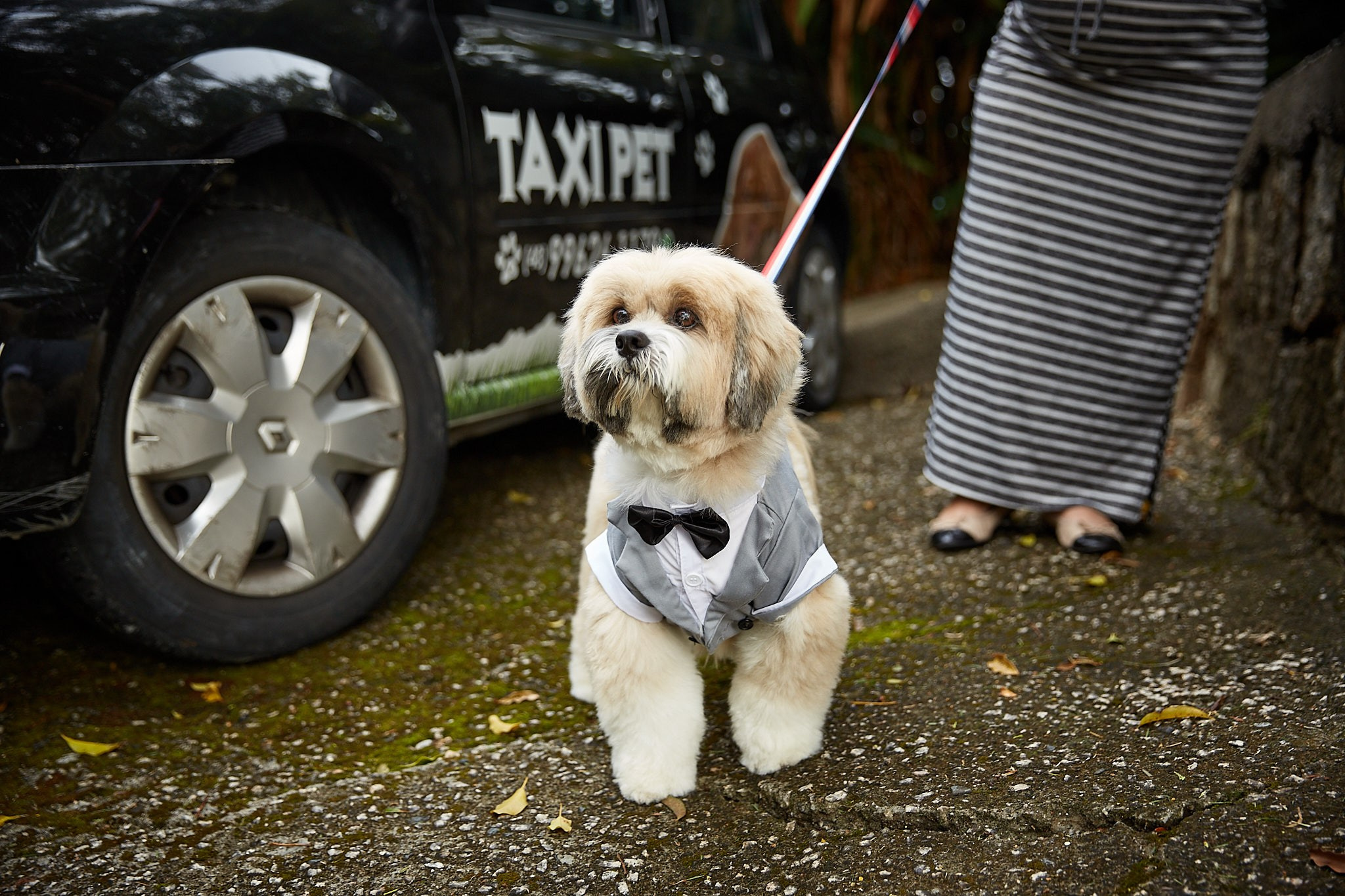 Casamento Tânia e Zé. Fotógrafo de casamentos em Florianópolis