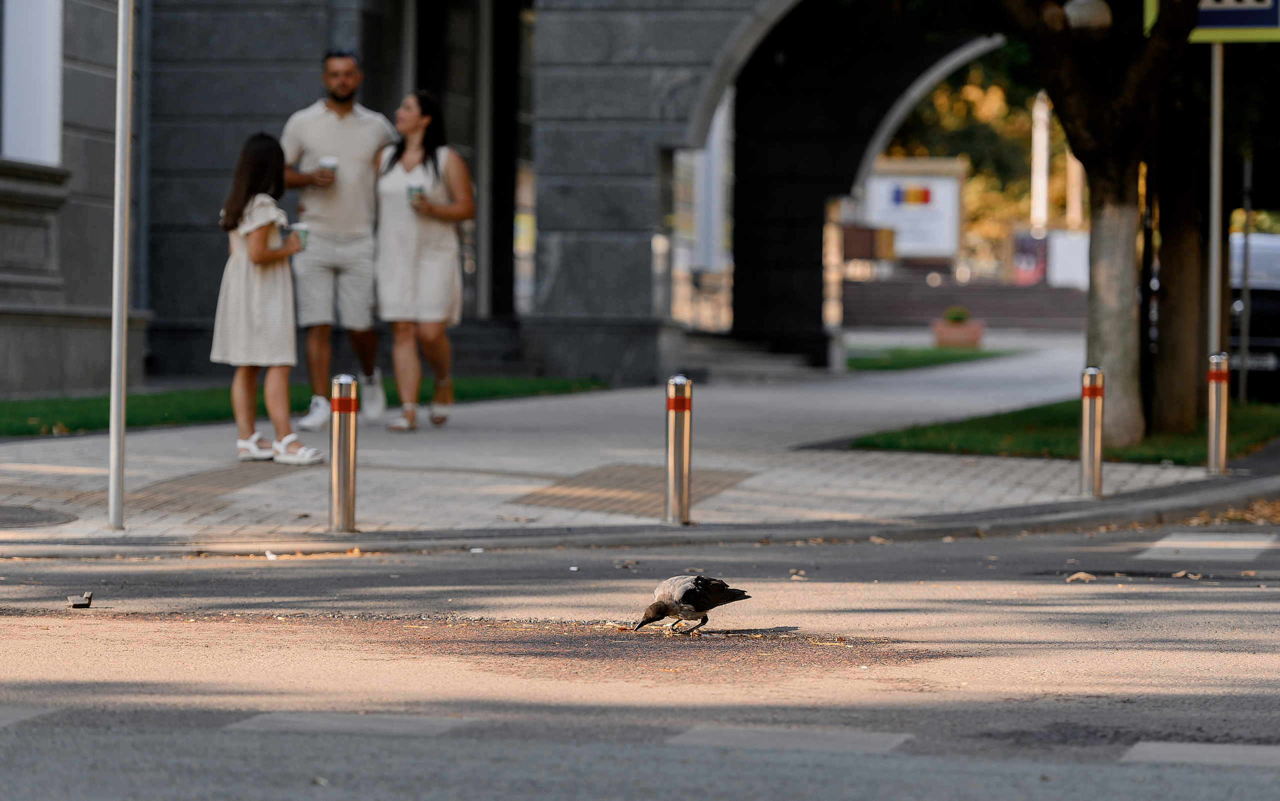 Family Chris & Ivan, Victoria. Wedding photographer from Moldova Alexey Chipchiu