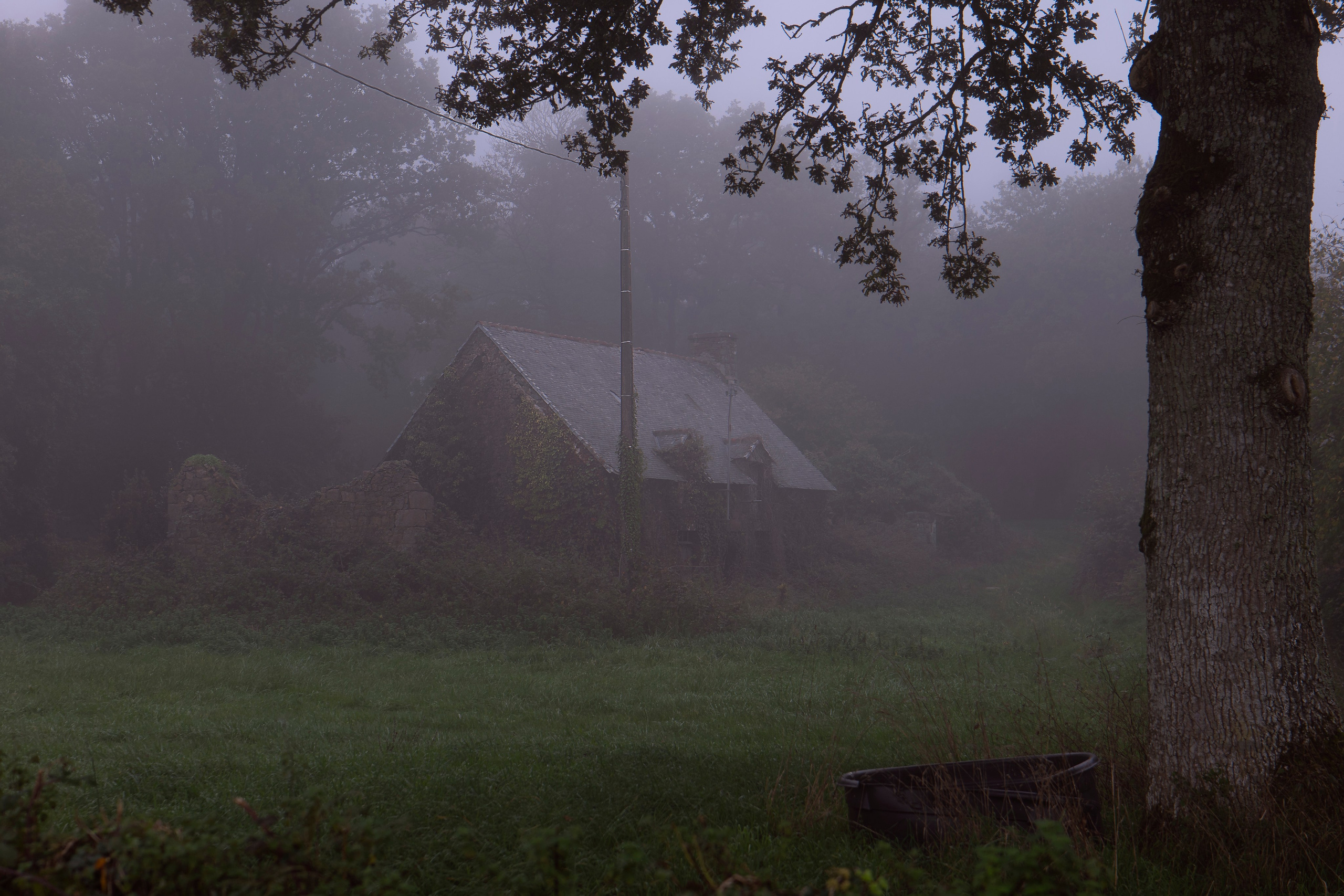 Paysages. Portrais créatifs de familles et individuels, Ile et Vilaine, France