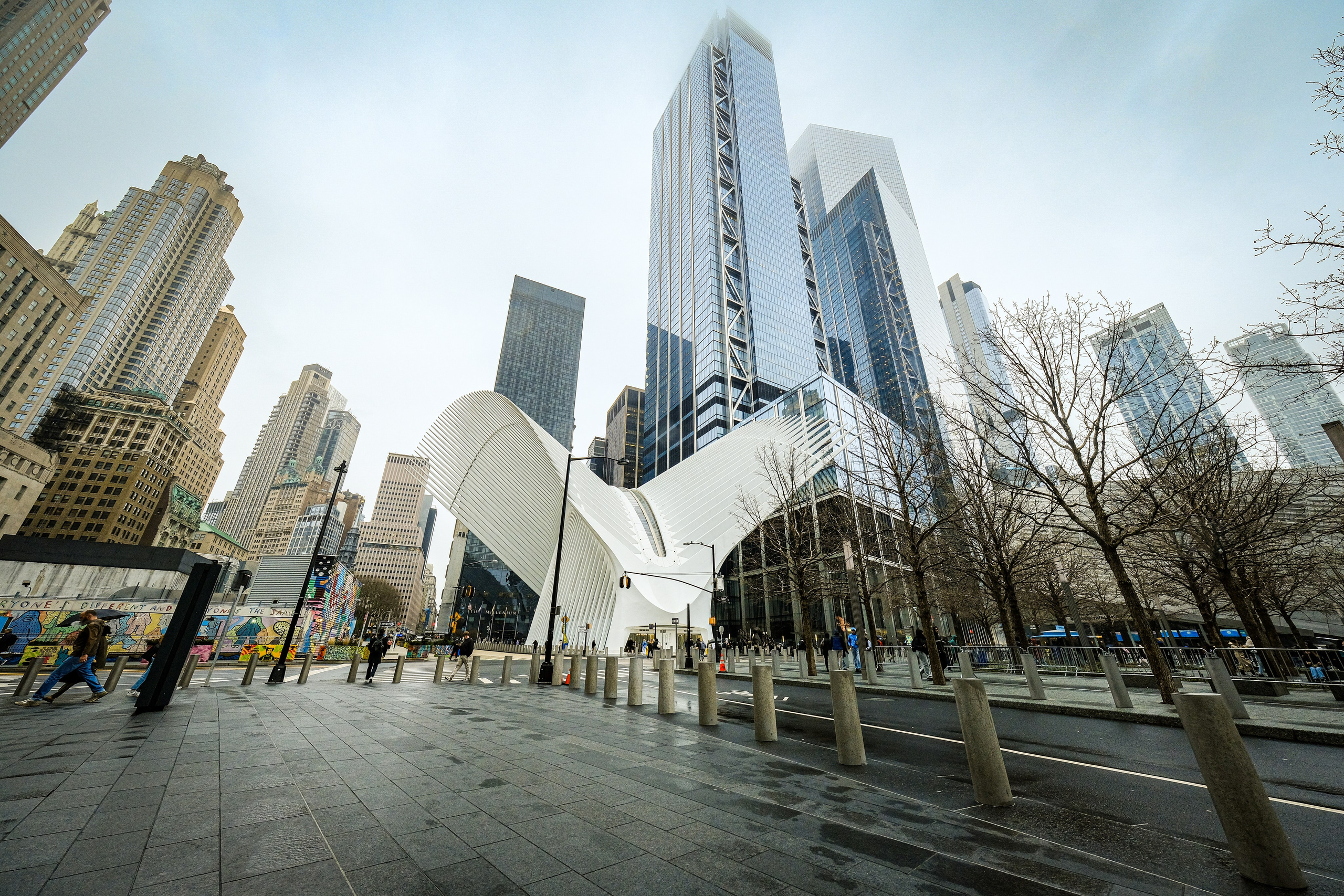 NEW YORK / 2025. Reportage concert portrait photography in the San Francisco Bay Area