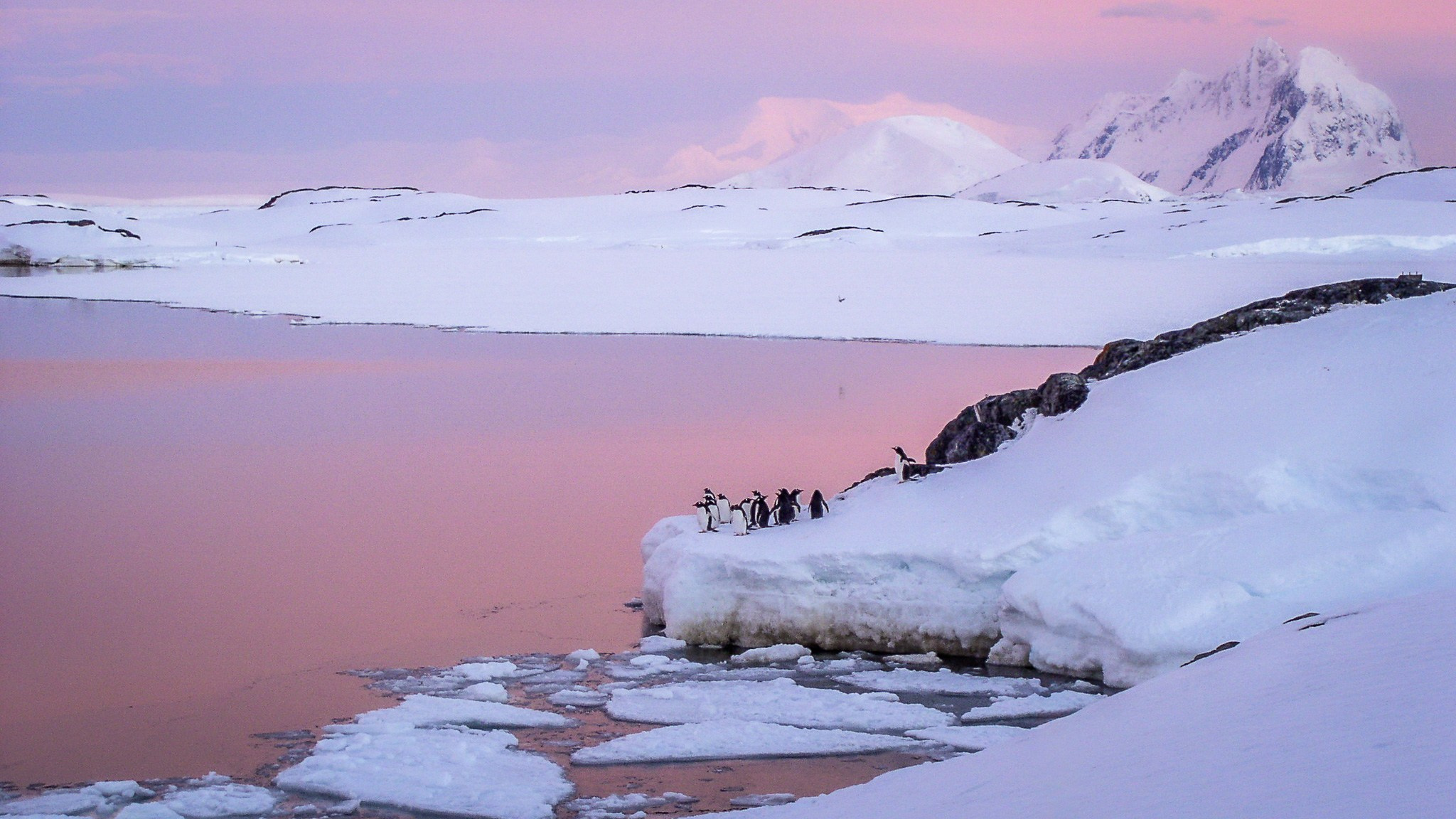 ANTARCTICA / 2004. Reportage concert portrait photography in the San Francisco Bay Area