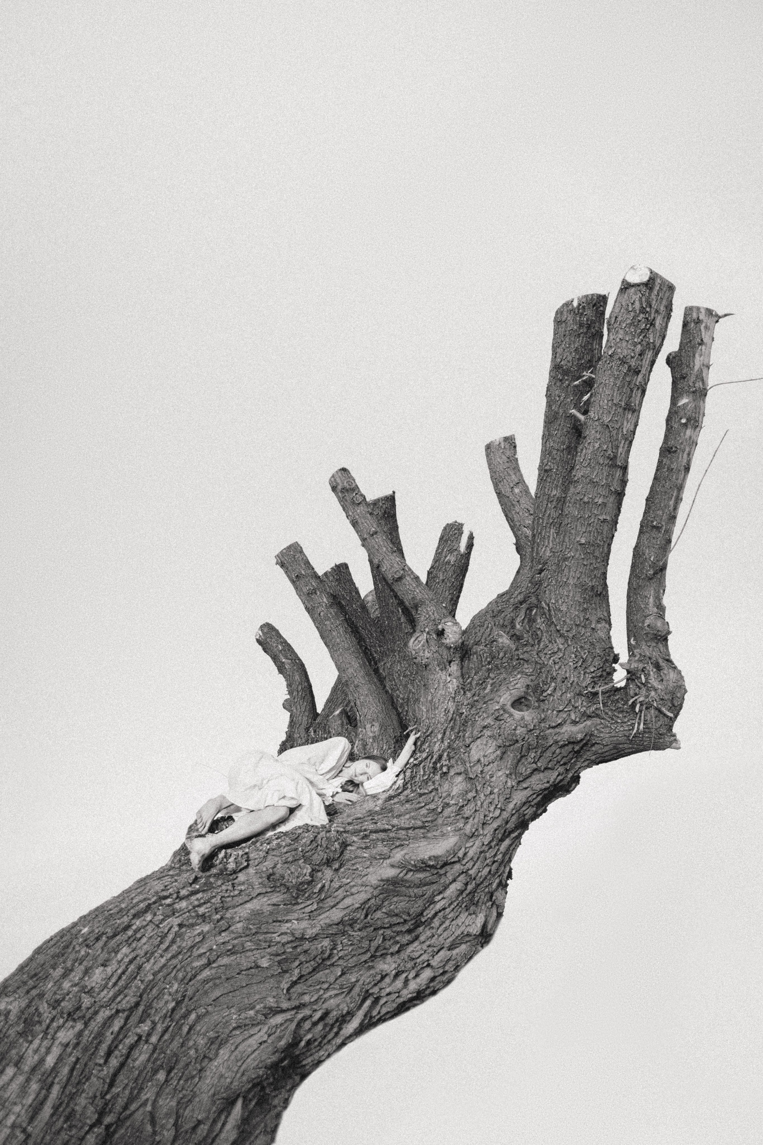 Marharyta&Veron. VOLKOVA OLGA