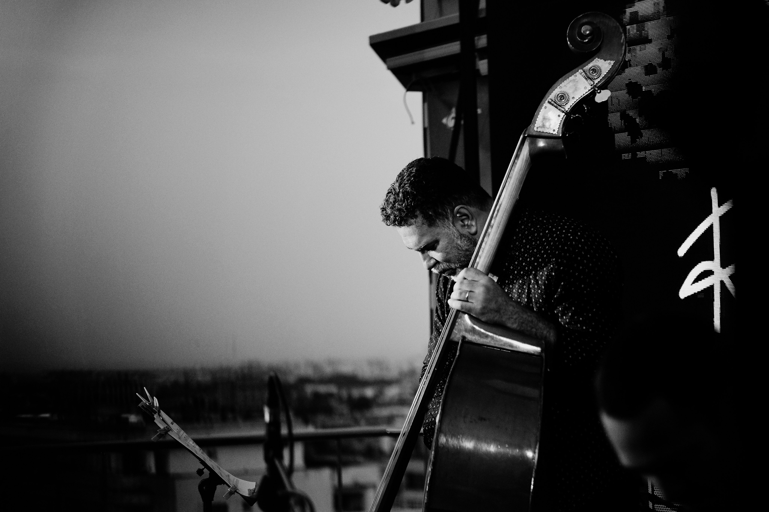 Razvan Cojanu. Hornetart