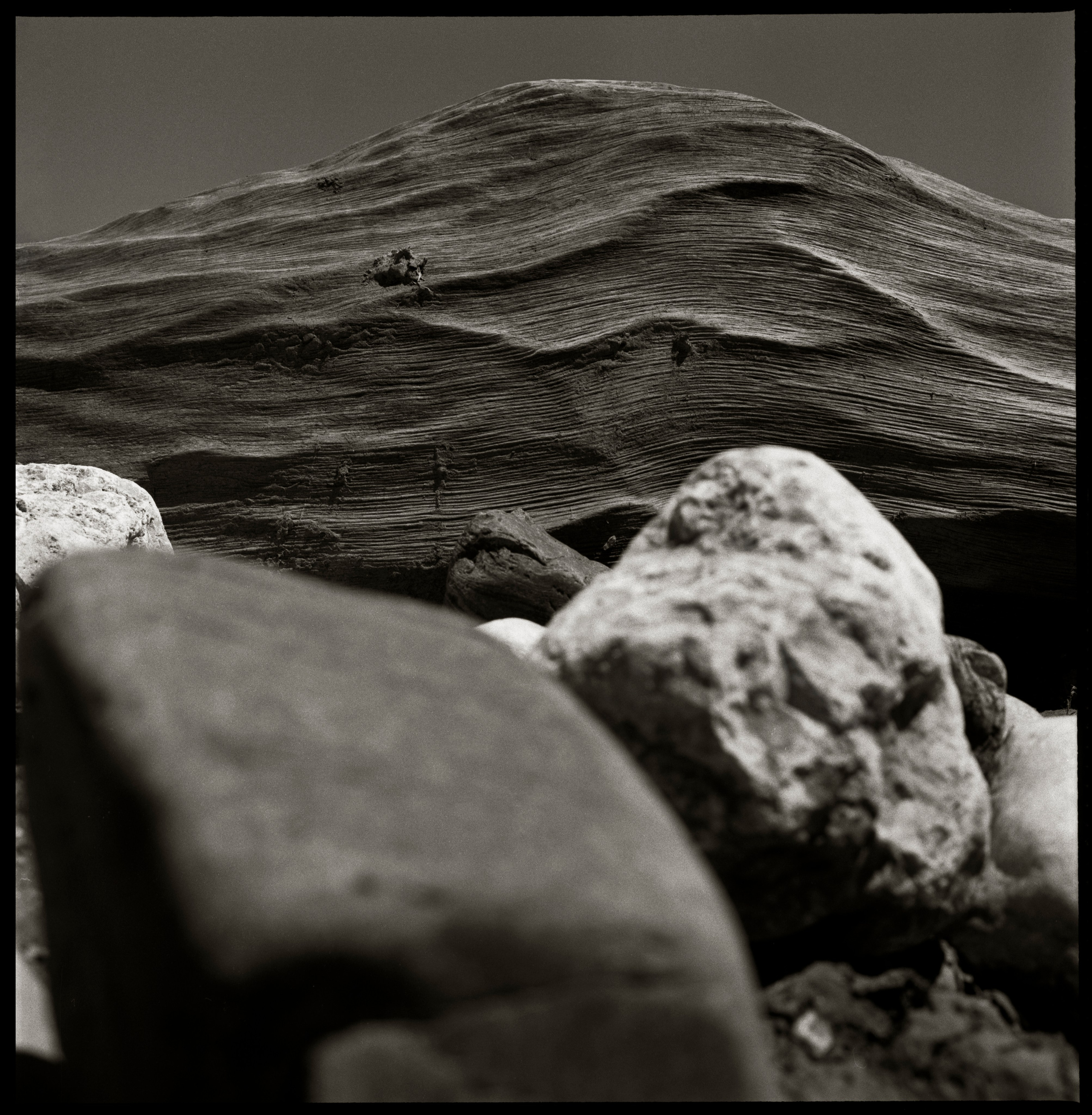 NATURE. Www.sananaleskerov.com