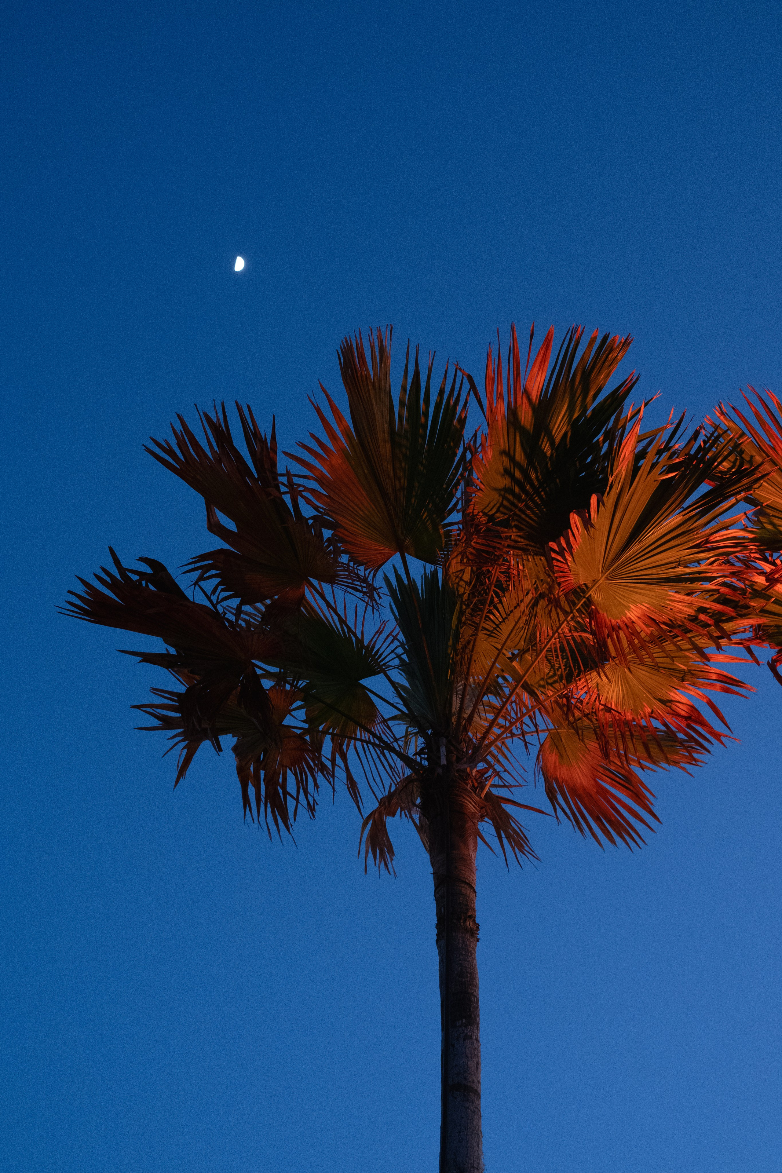 Event photography. Video production in Bali, Photo production in Bali