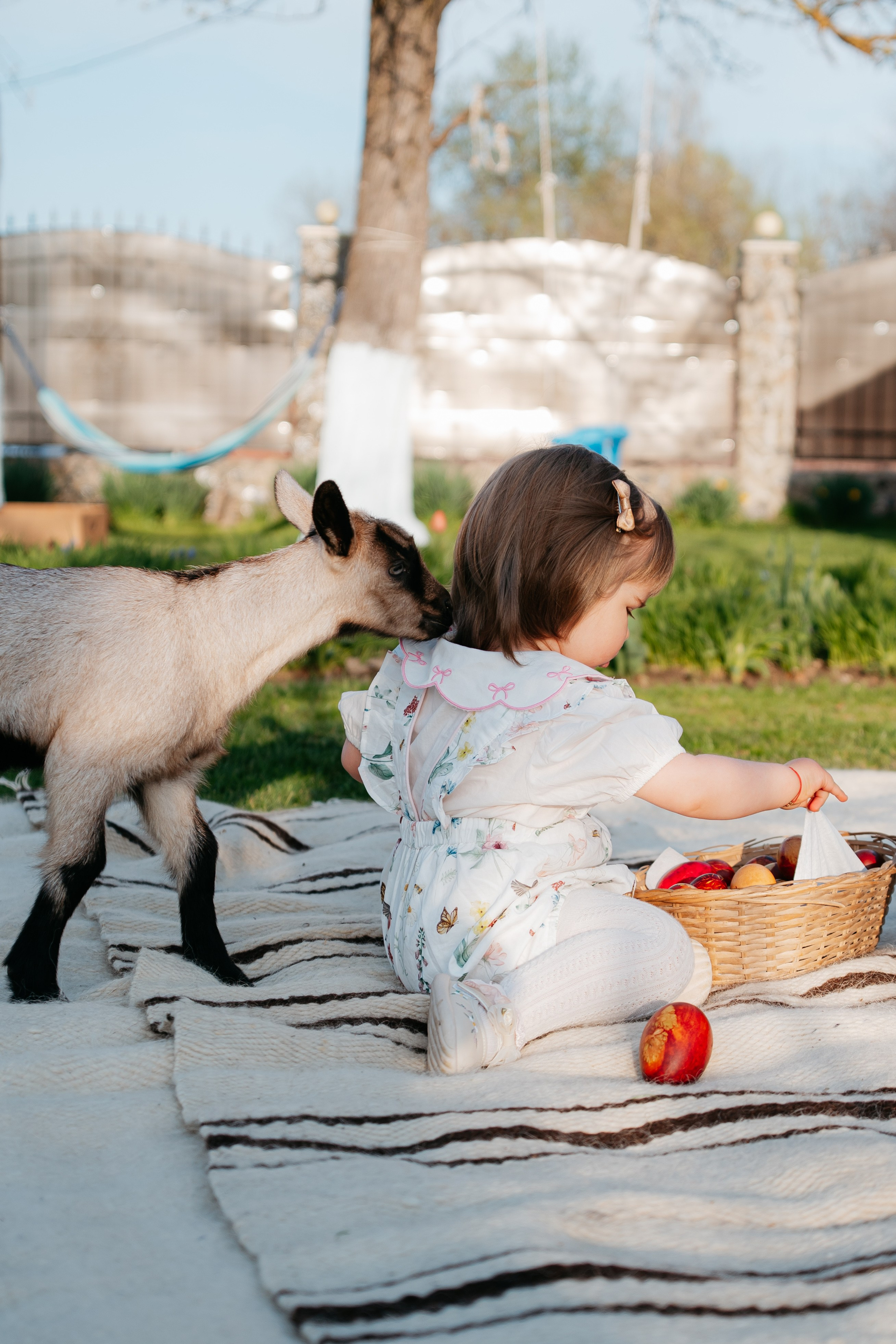 EASTER. Ars Vidi | Digital Solutions