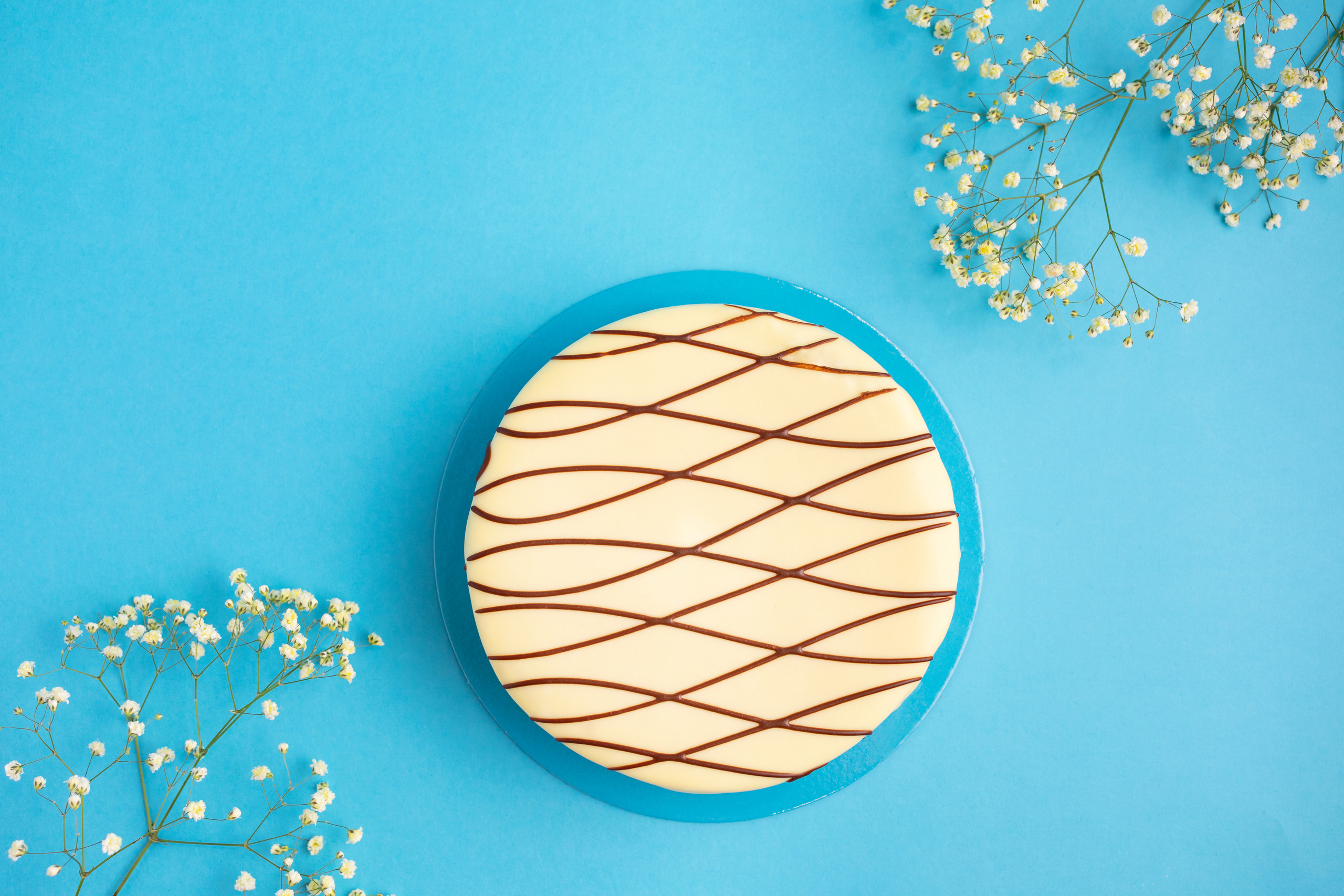 Фотосъемка торта Сметанник. Фотограф в Бишкеке Оксана Шувалова