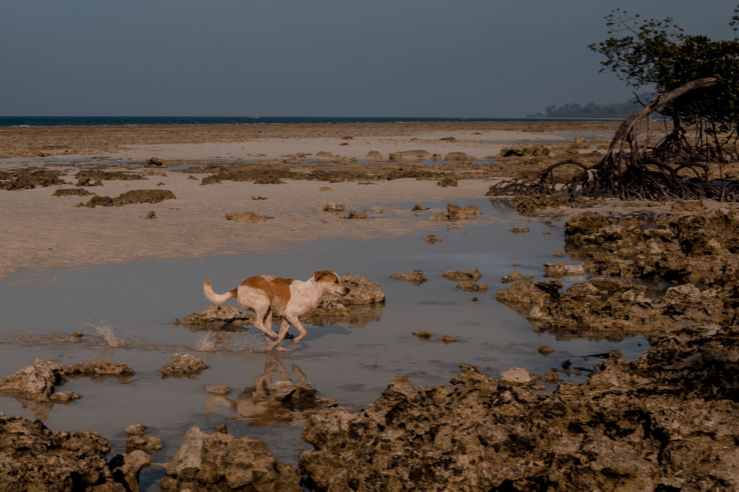Andaman Islands, Part2. Art Photographer