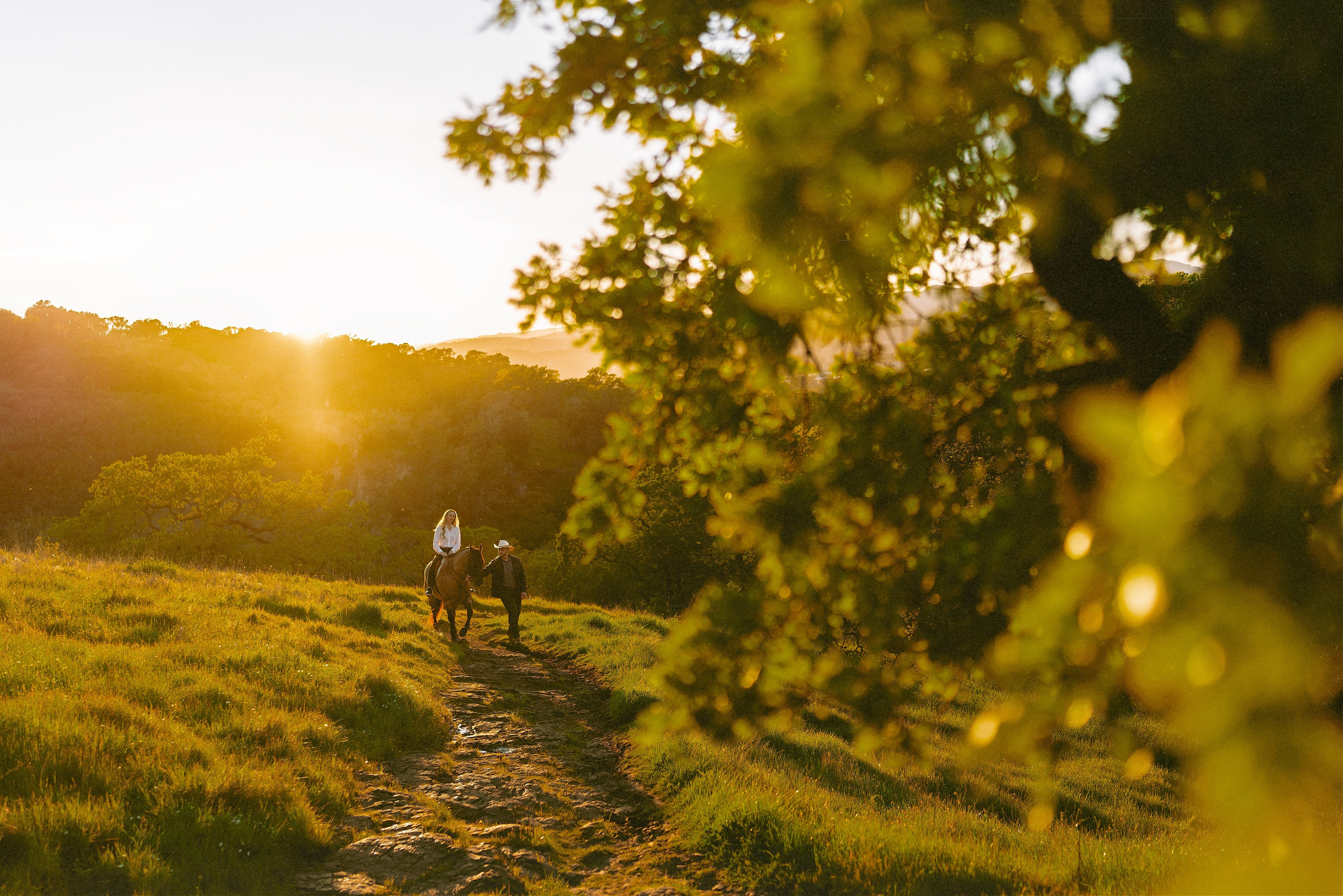 Engagement with Horses, Napa, Northern California. Wedding Photography & Videography Team in California, Los Angeles, San Francisco, San Diego and Travel