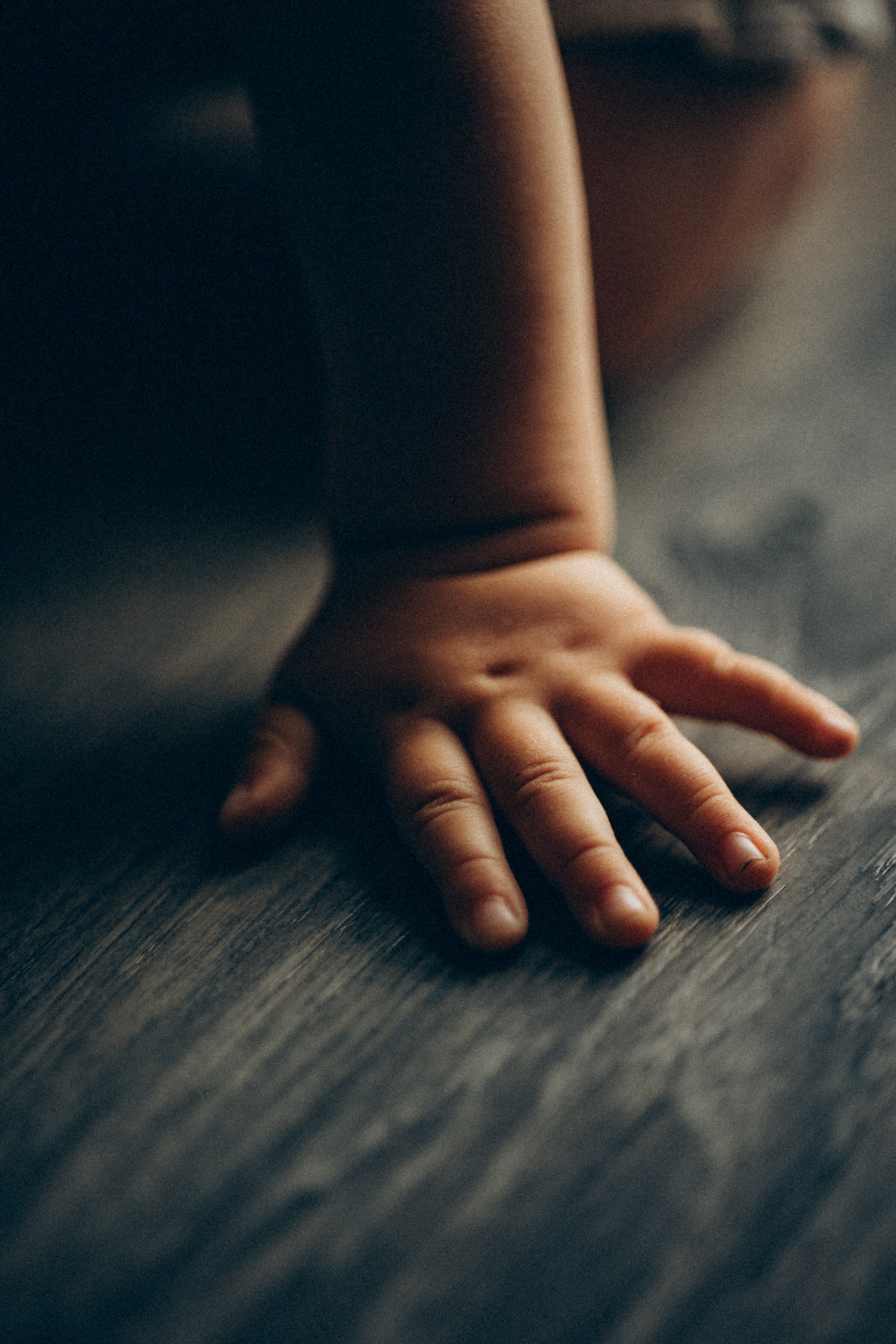 Ivan + Julia = DimaLidaSasha. Fotografa de família e crianças em Florianópolis SC Daria Ermolaev