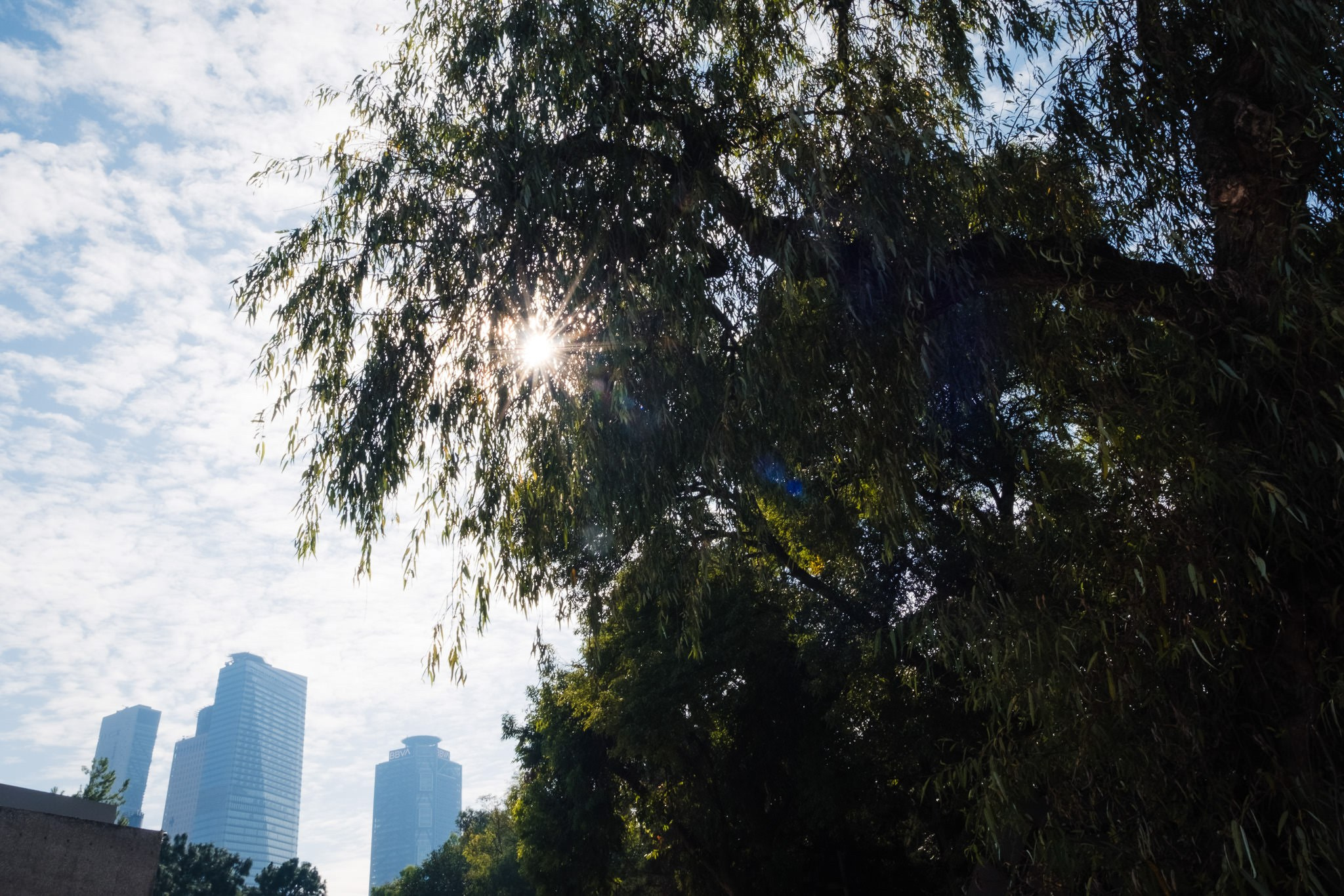 Jin. Wedding and family photographer in Mexico City