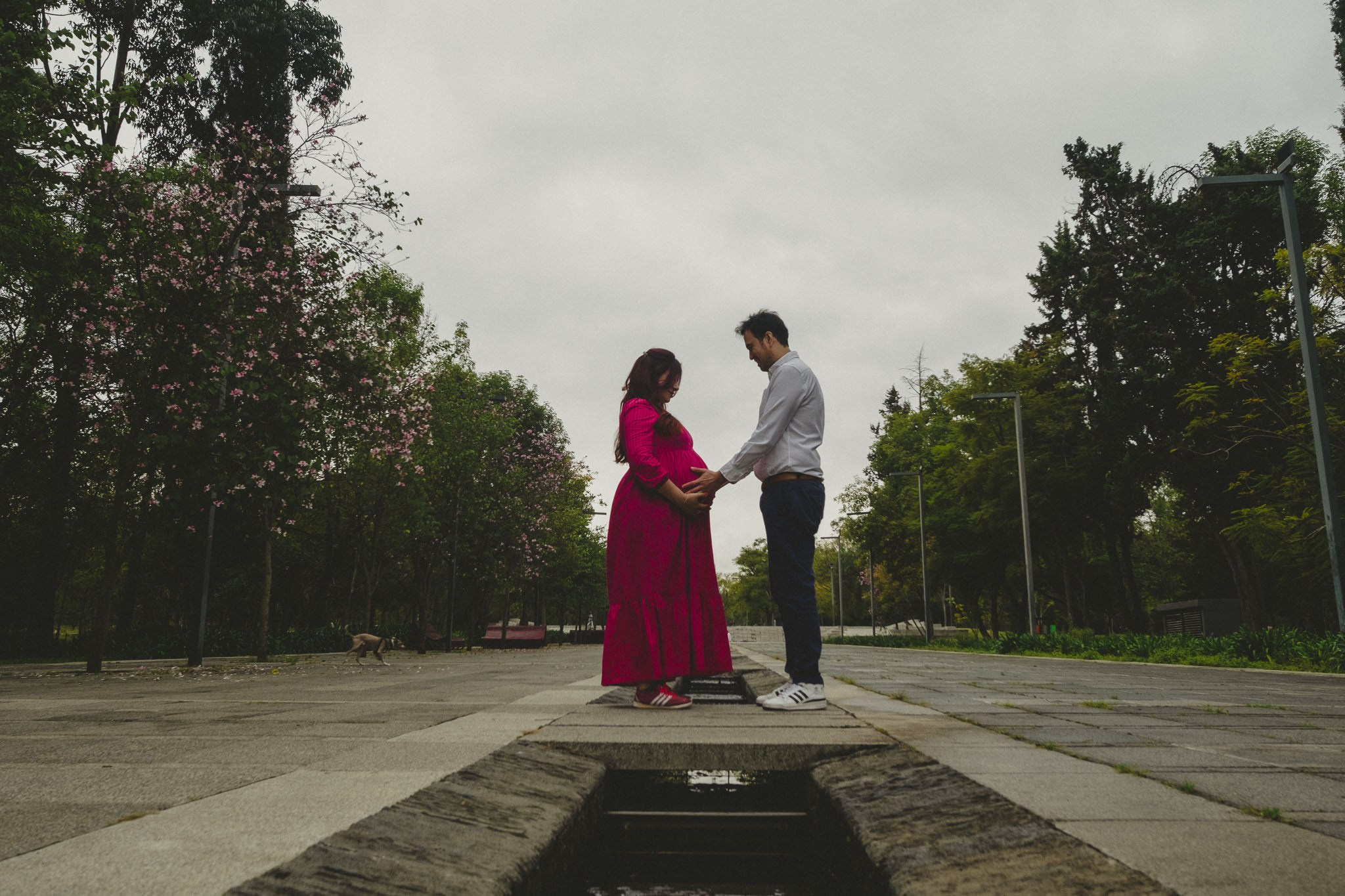 Andrea. Wedding and family photographer in Mexico City