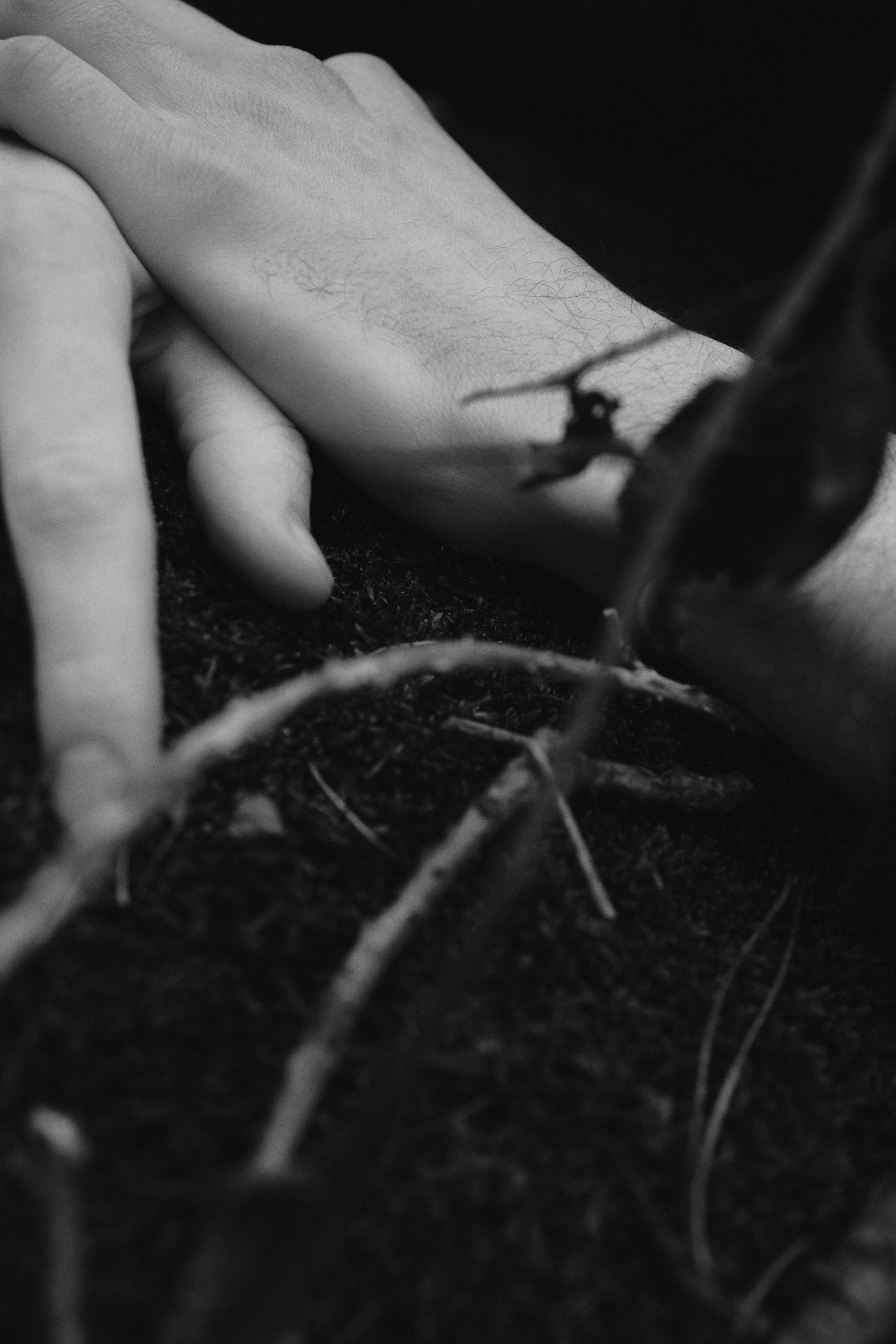 Personal. Photographer Katya Vlasova