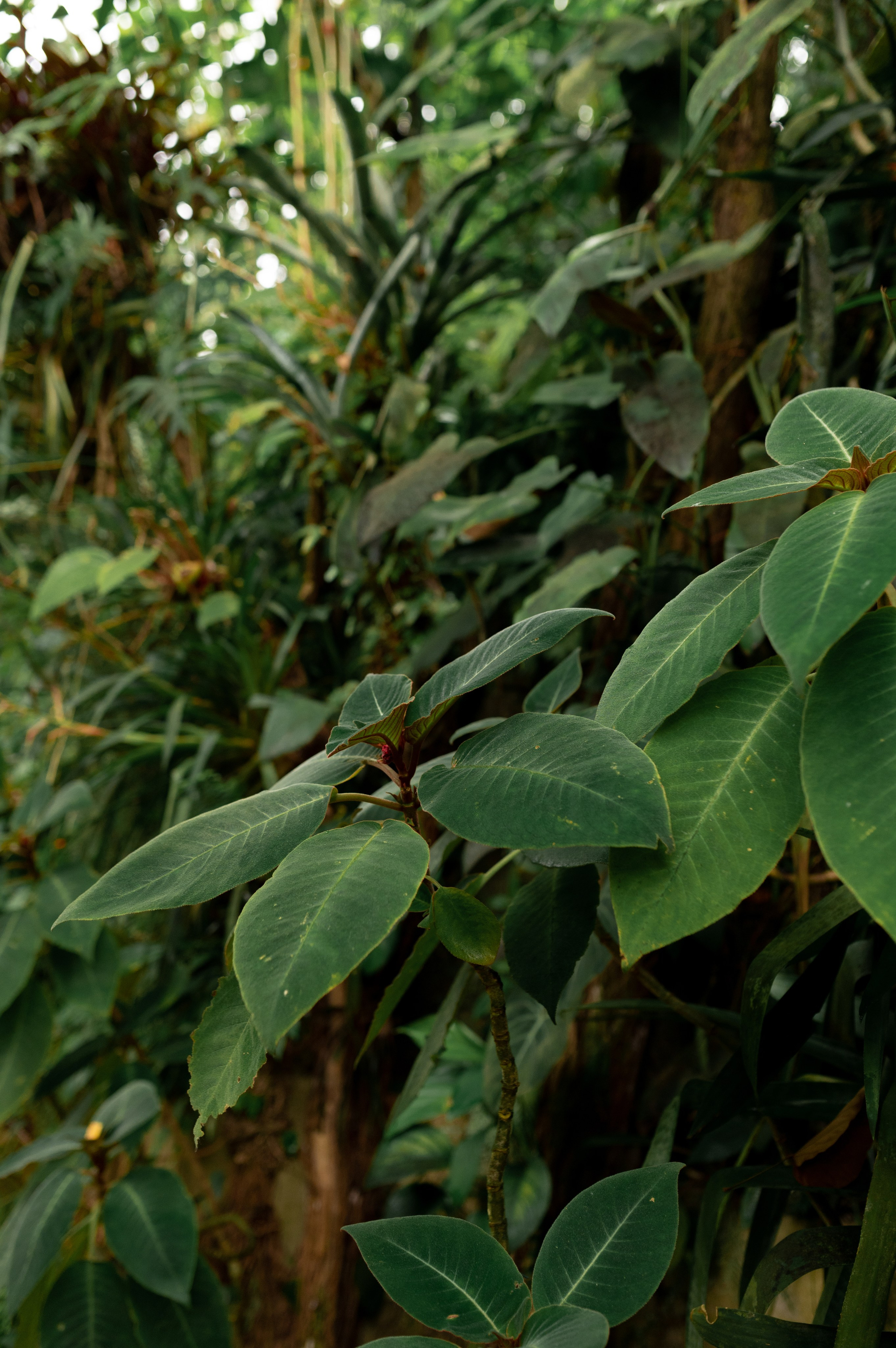 CannaXlife CBD products. ANNA-MARIA PHOTO CONTENT CREATOR — фотограф, эстет, художник и визуальный эксперт в Instagram, работающий в Праге