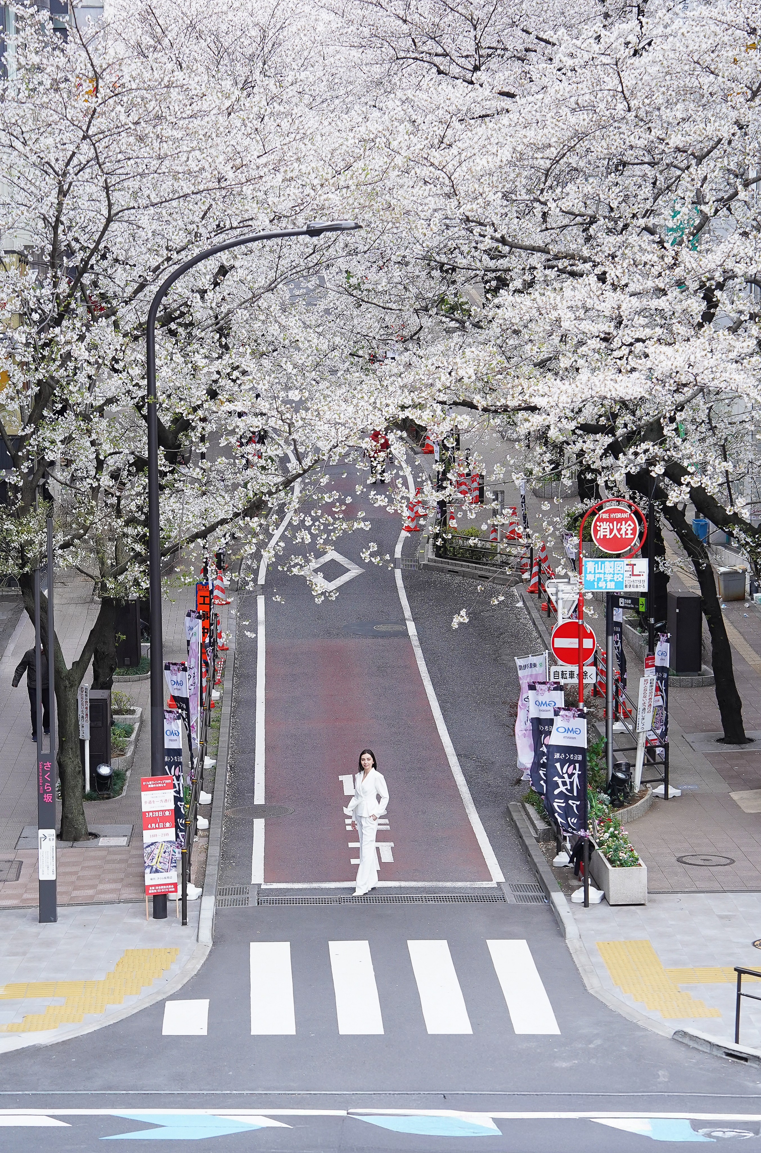 Sakura photoshoot. Фотограф в Токио Япония