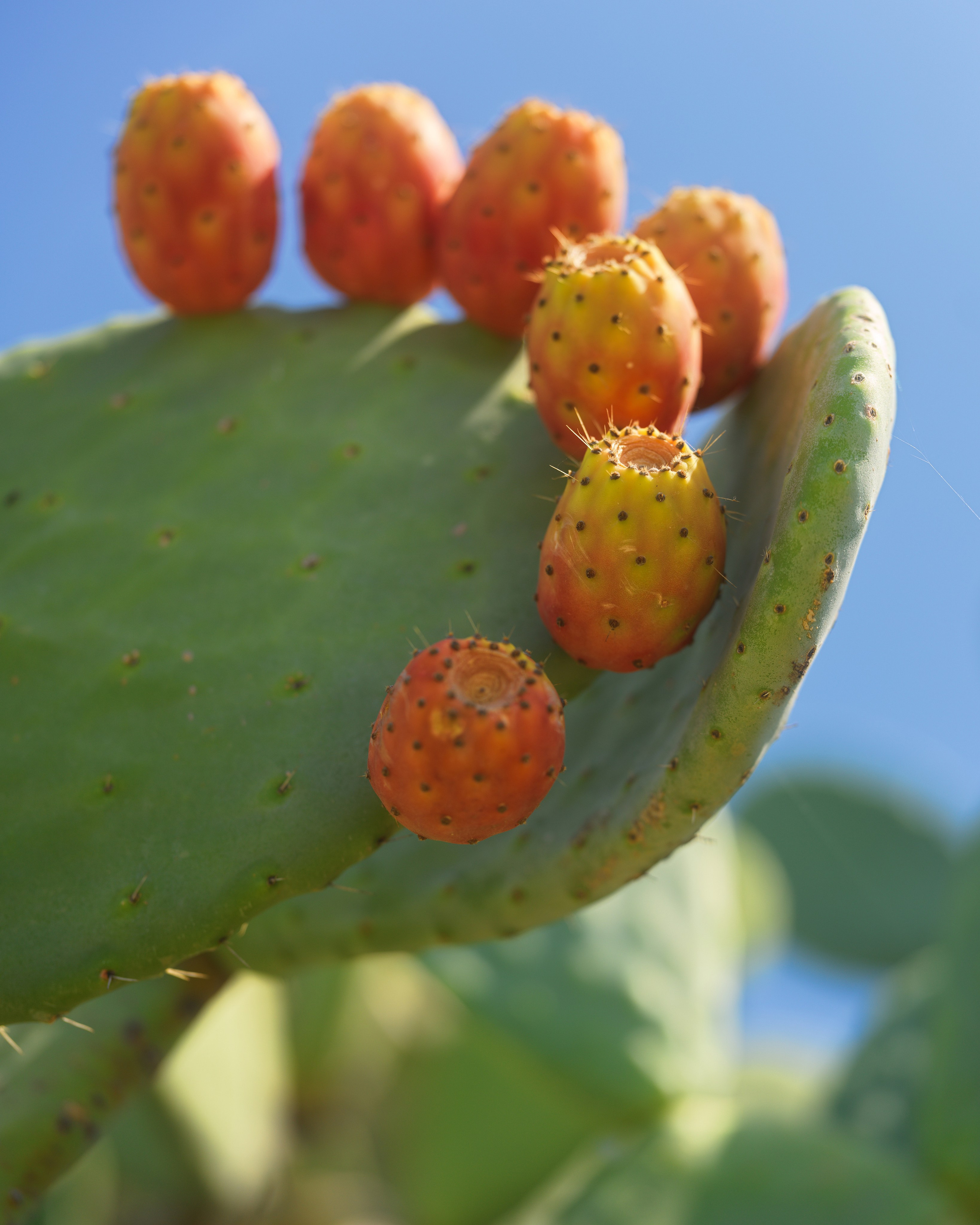 Travel. Vitali Beidel - Stuttgart Visual artist und Fotograf