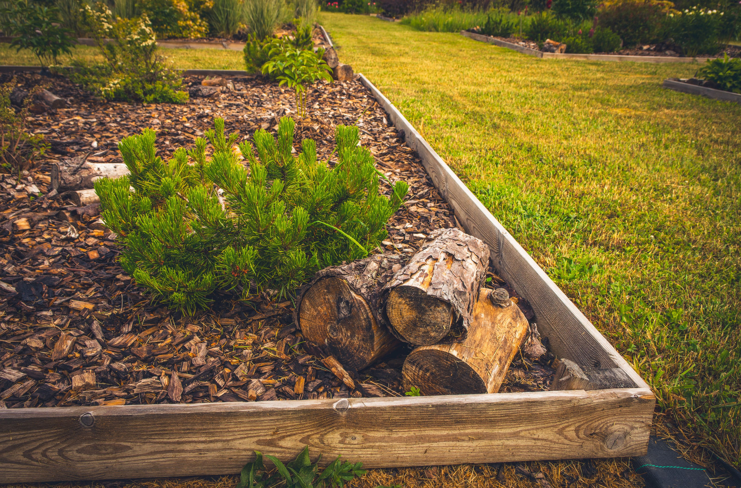 Saarema, reis. Nebula 25 — Fotod teie hingele