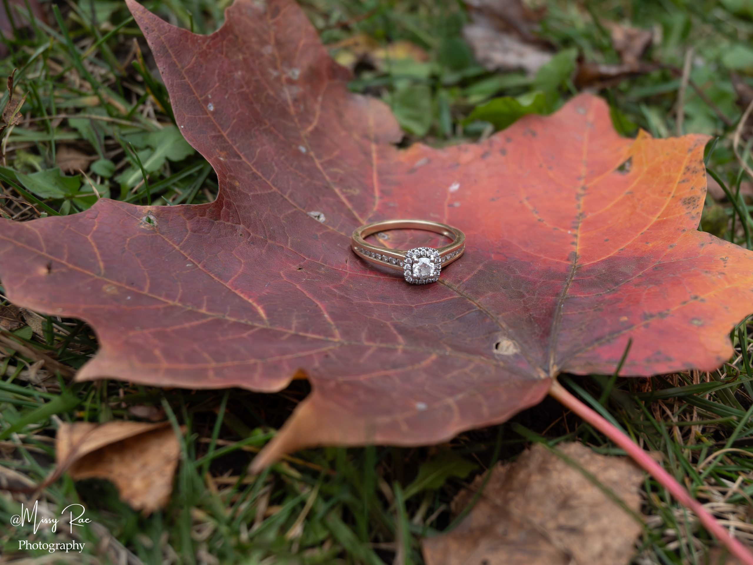 Engagement. Missy Rae Photography