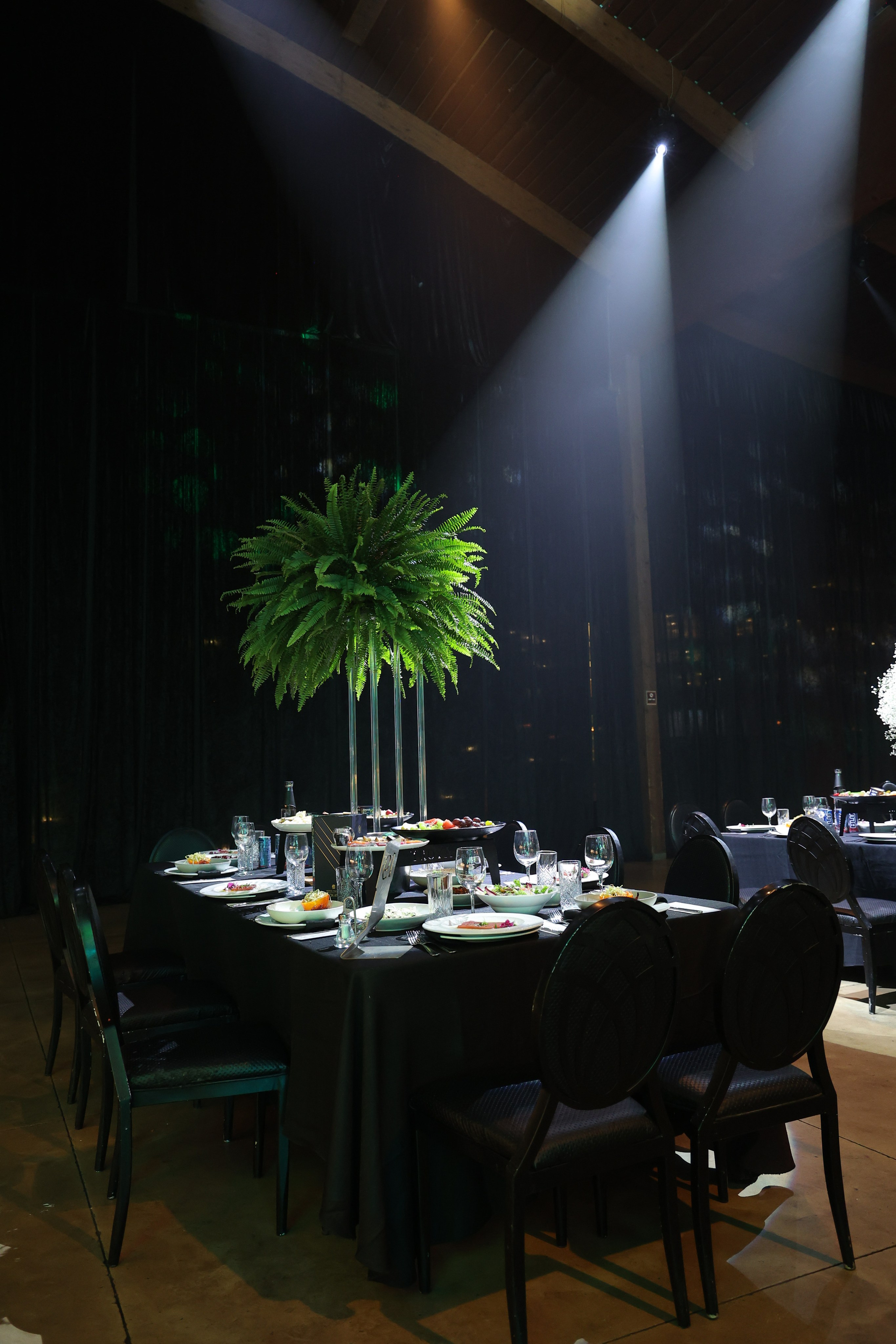 טרויה. Wedding and events photographers Studio Shalom