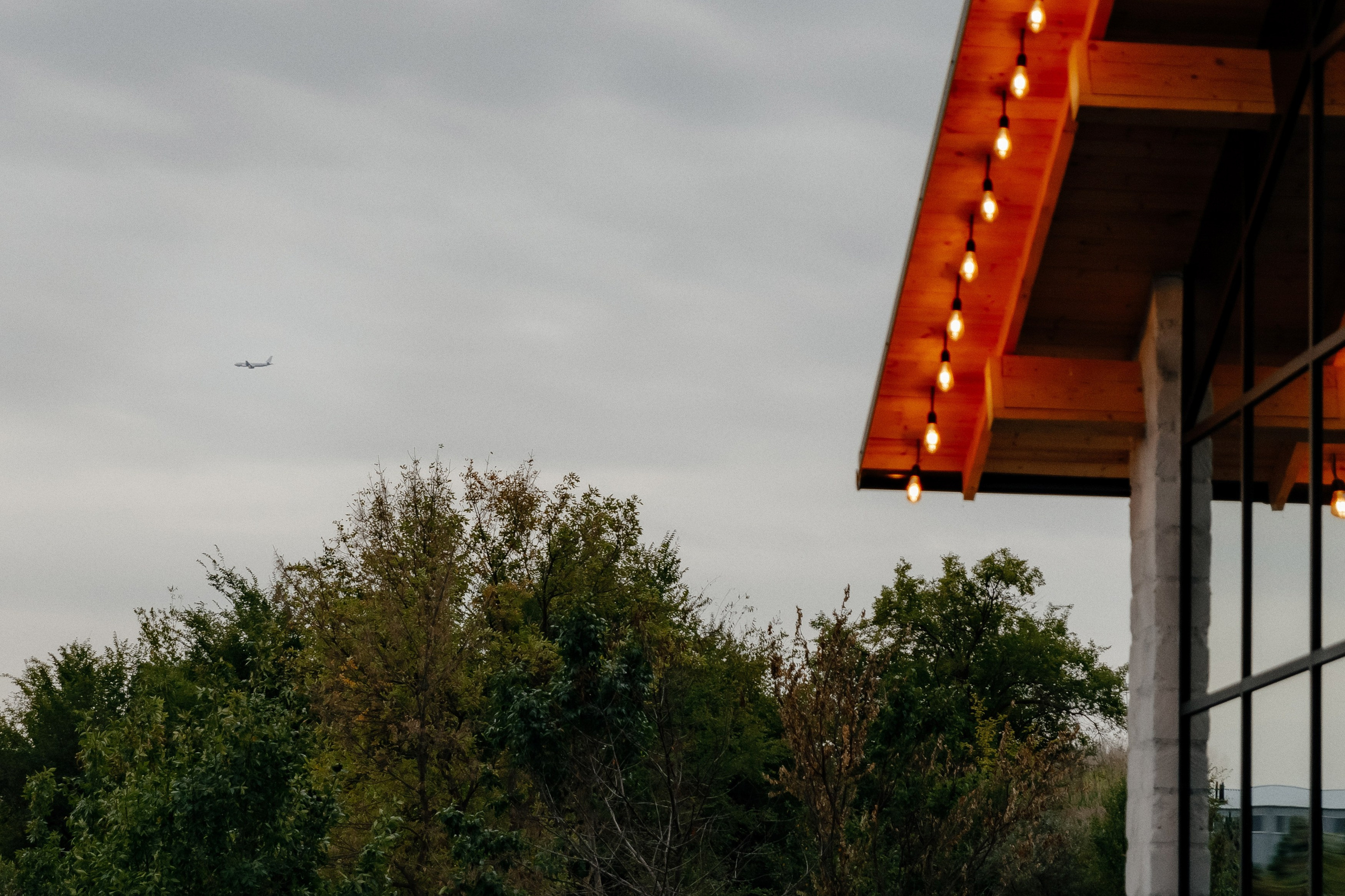 Wedding. Fulga Photographer