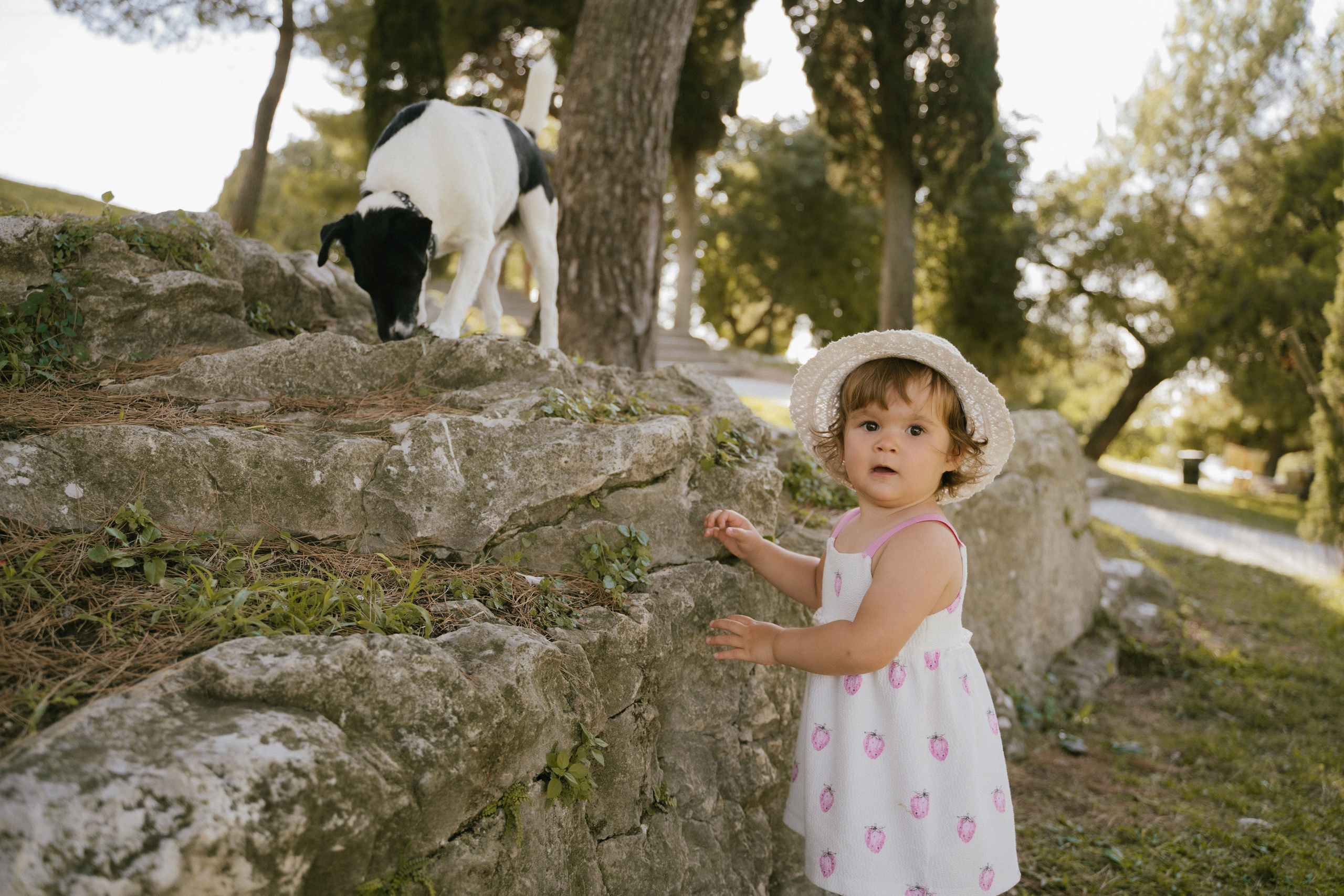 Kinderfotografie. Authentische und emotionale Familienfotos in Landshut und Umgebung