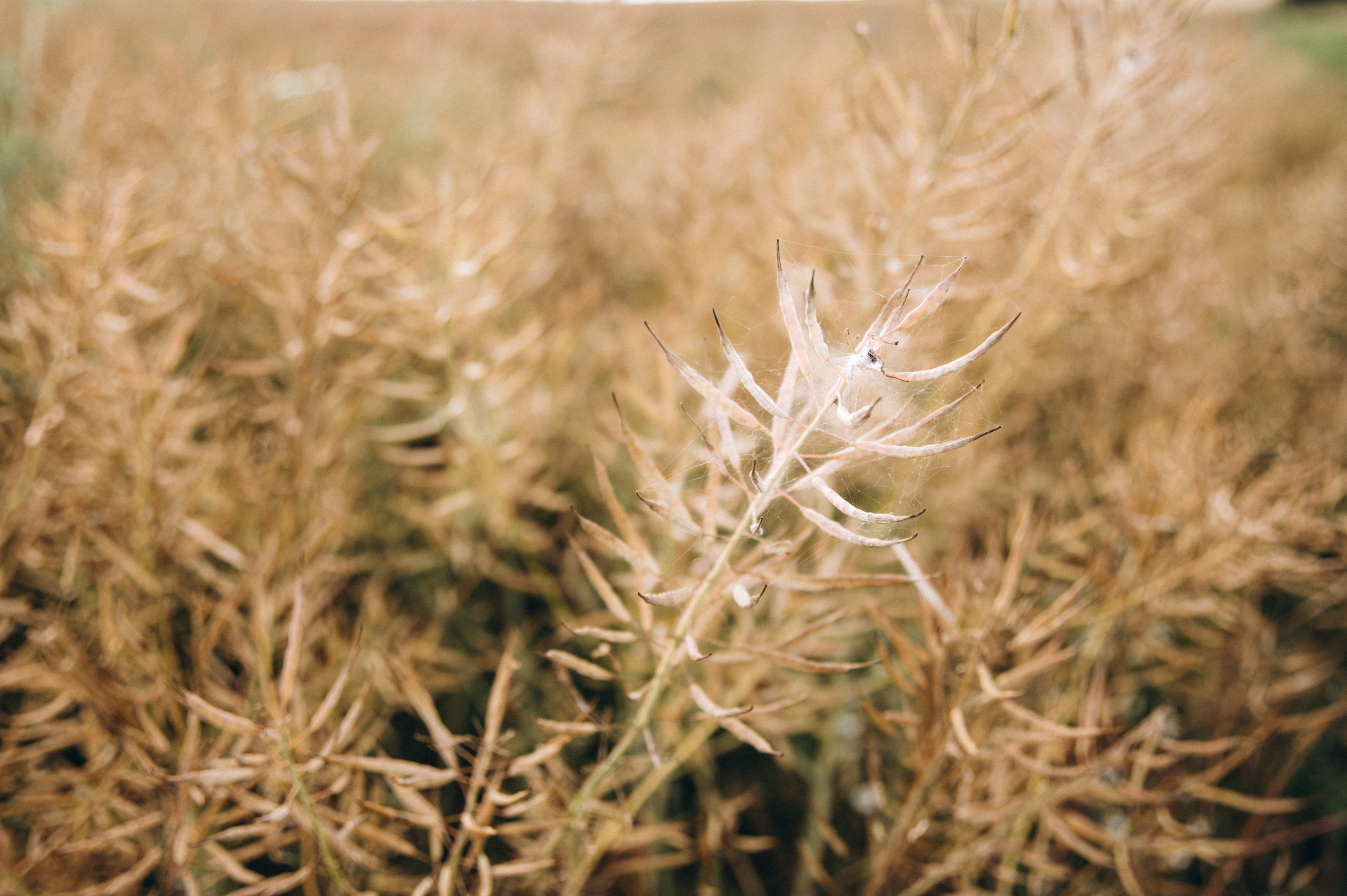 Sasha und Nika. Familien- und Hochzeitsfotografin. Ich arbeite in Koblenz und Rheinlan