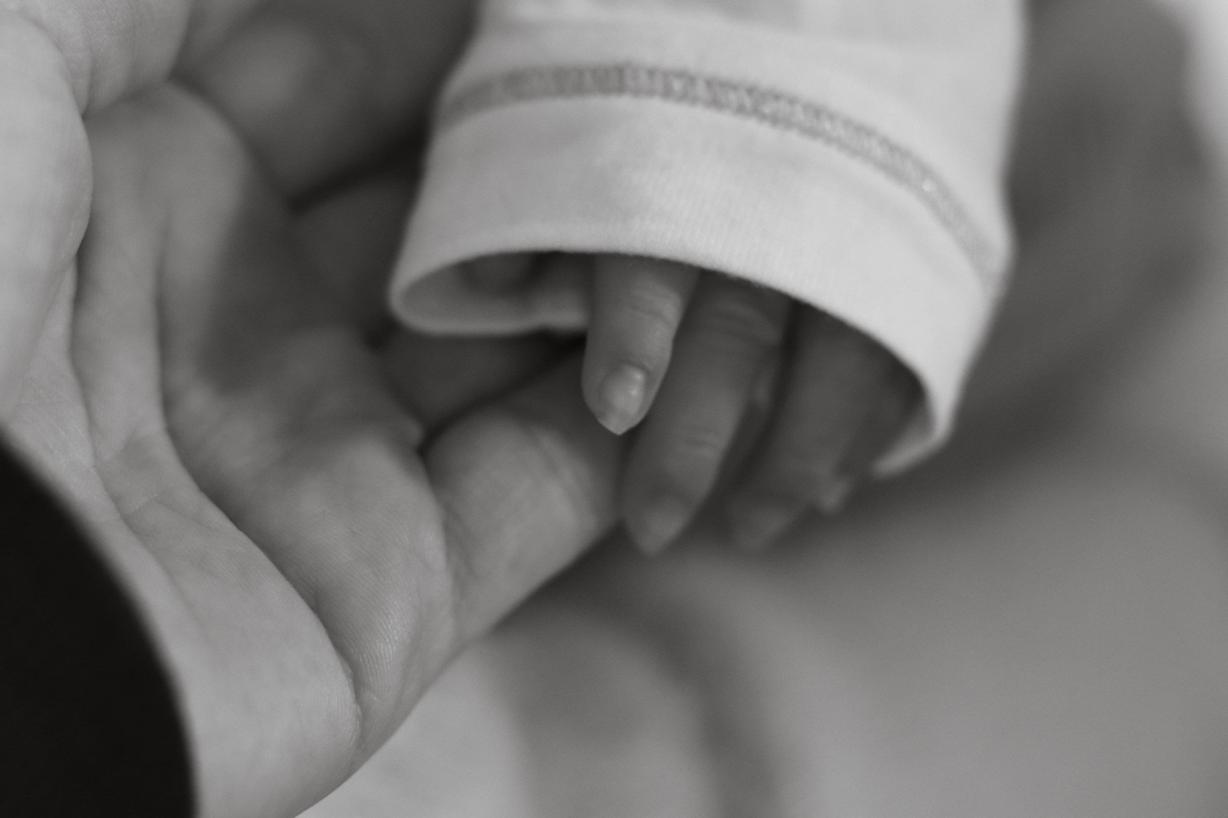 Without leaving home. Photographer Margarita Antonova in Naas, Co Kildare