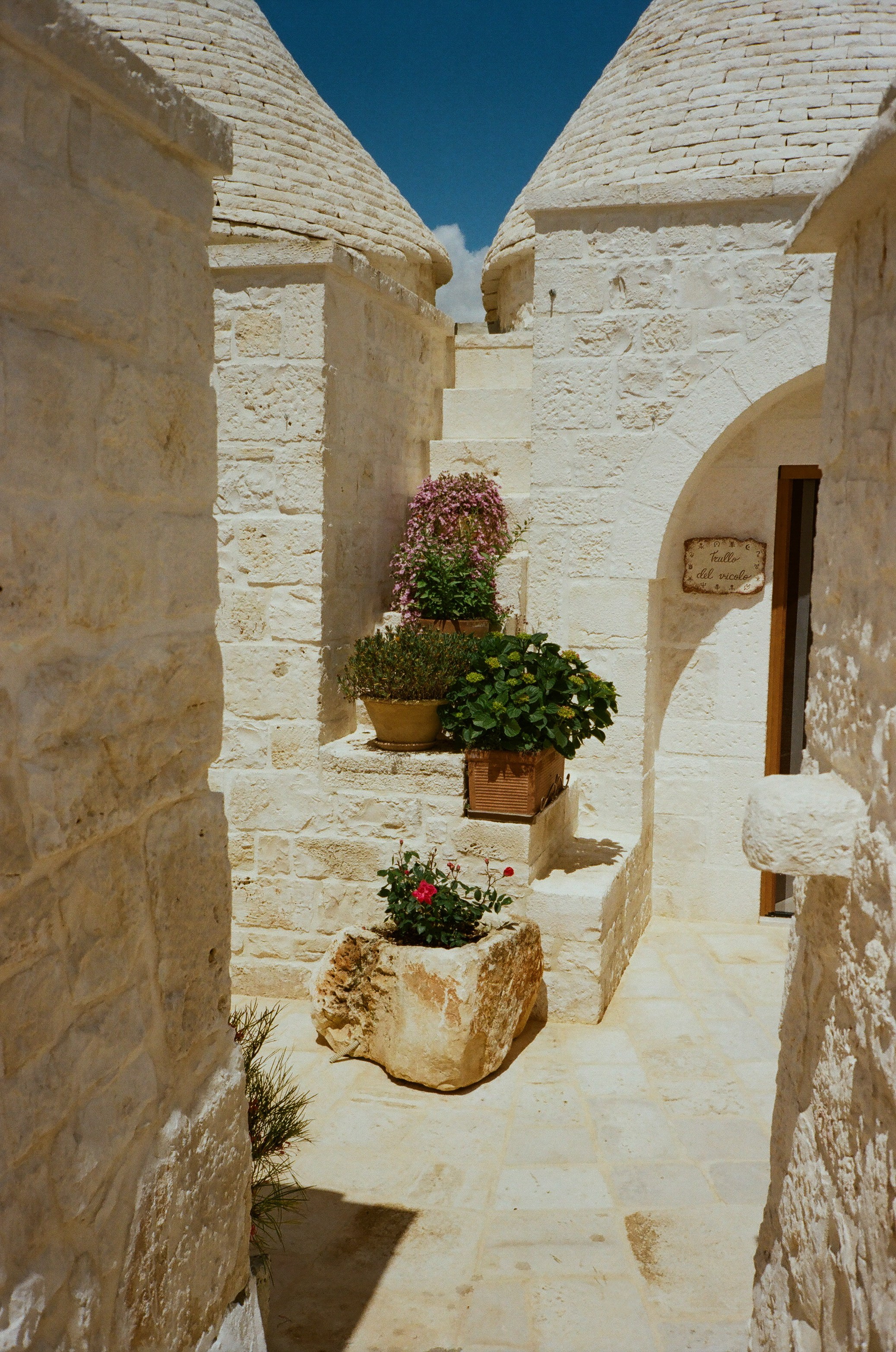 Stephanie & Christian film photos. Весільний фотограф Вікторія Саврук