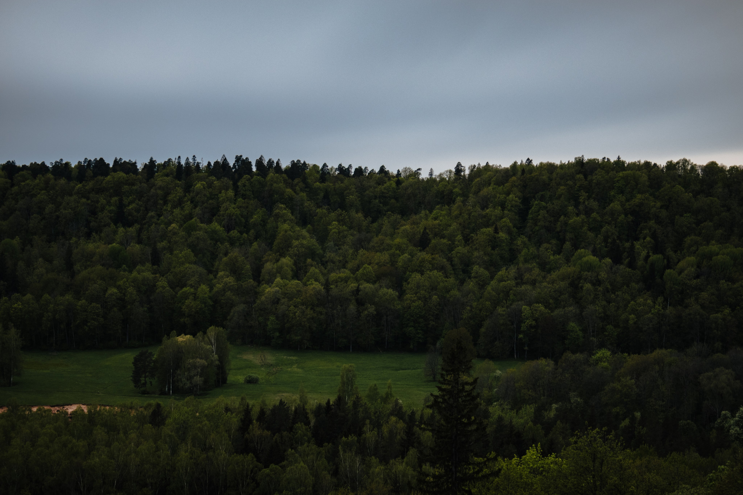 Riga May 2024. Дизайнер и Фотограф в Кишинёве Бусуйок Станислав
